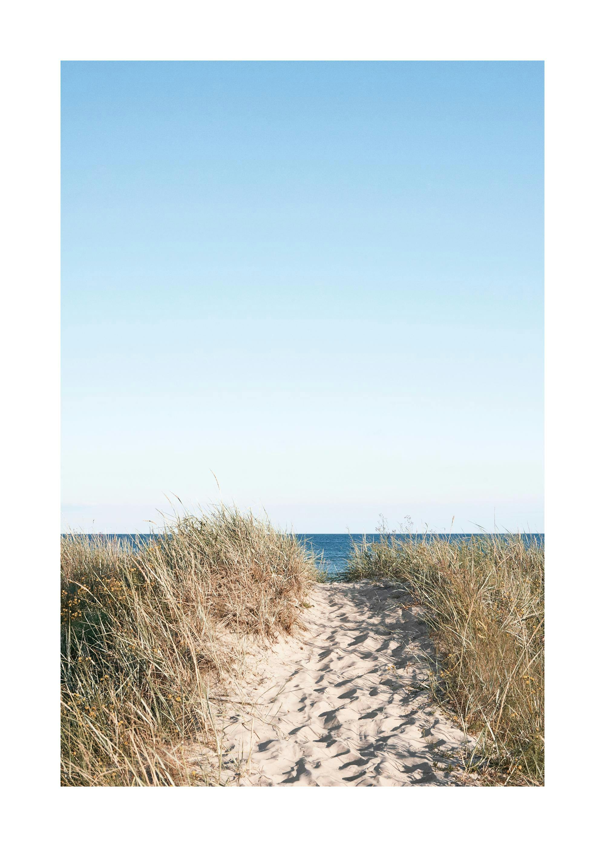 Path on beach Poster 0