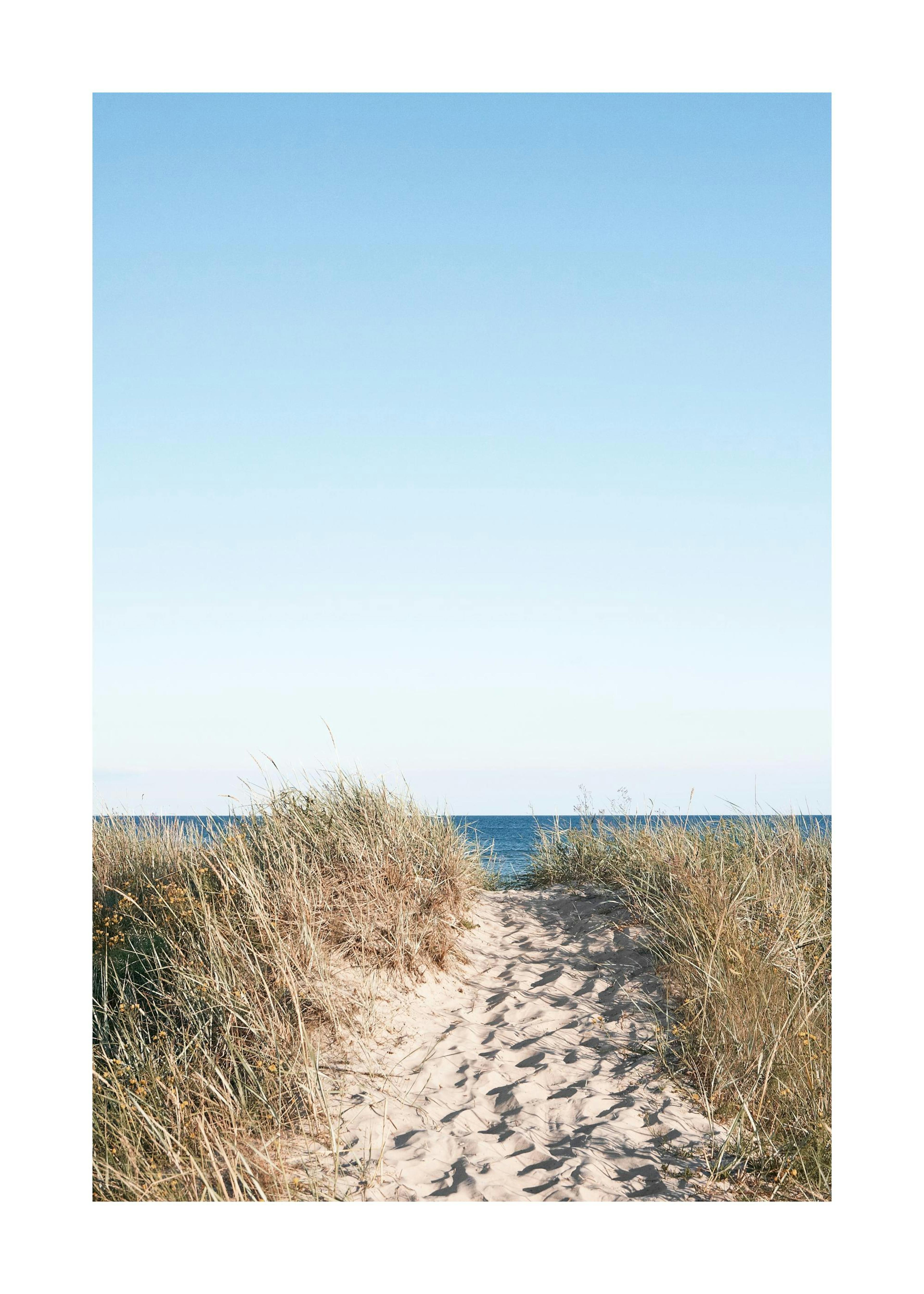 Path on beach Print 0