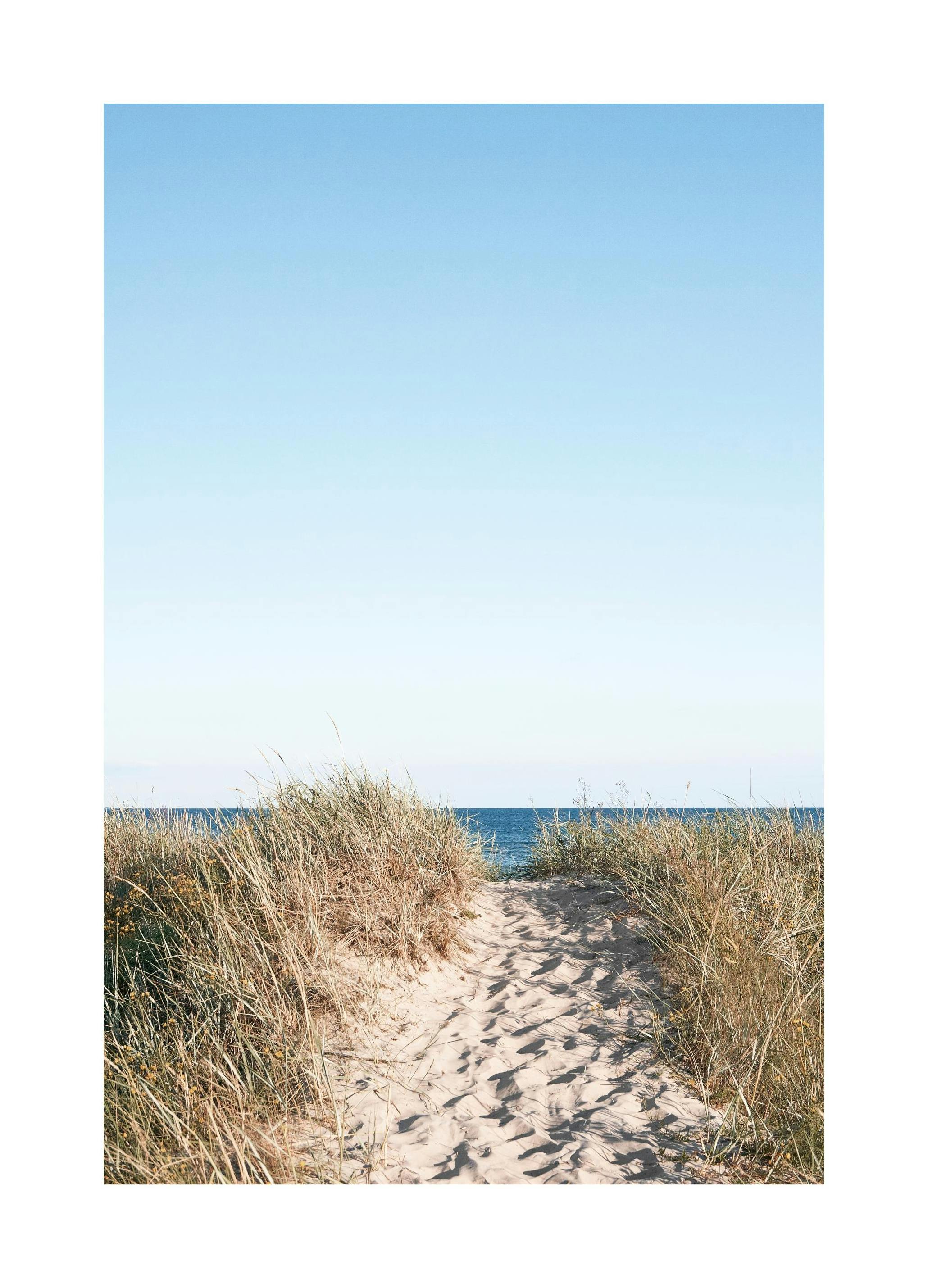 Prints - Path on beach Print (30x40 cm) - Nature prints