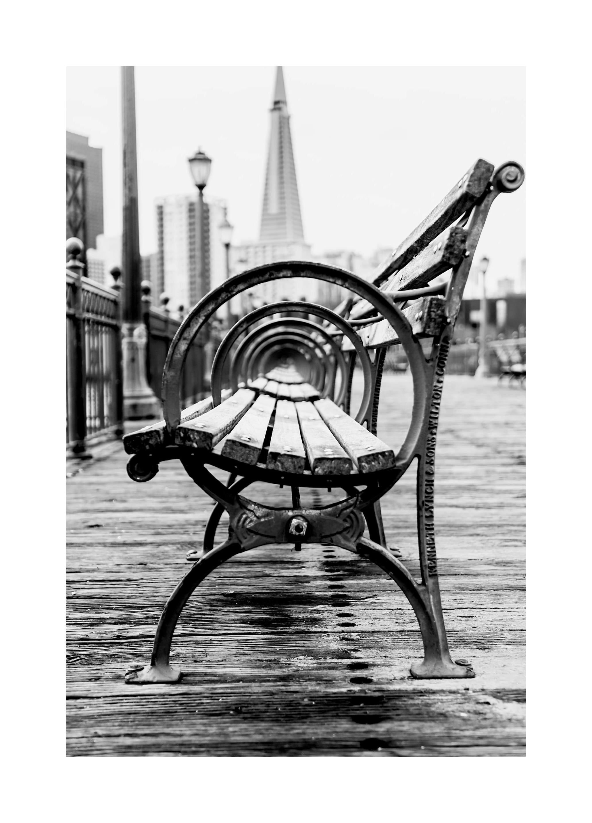 B&W Bench Poster (30x40 cm)- Quadri e poster in bianco e nero