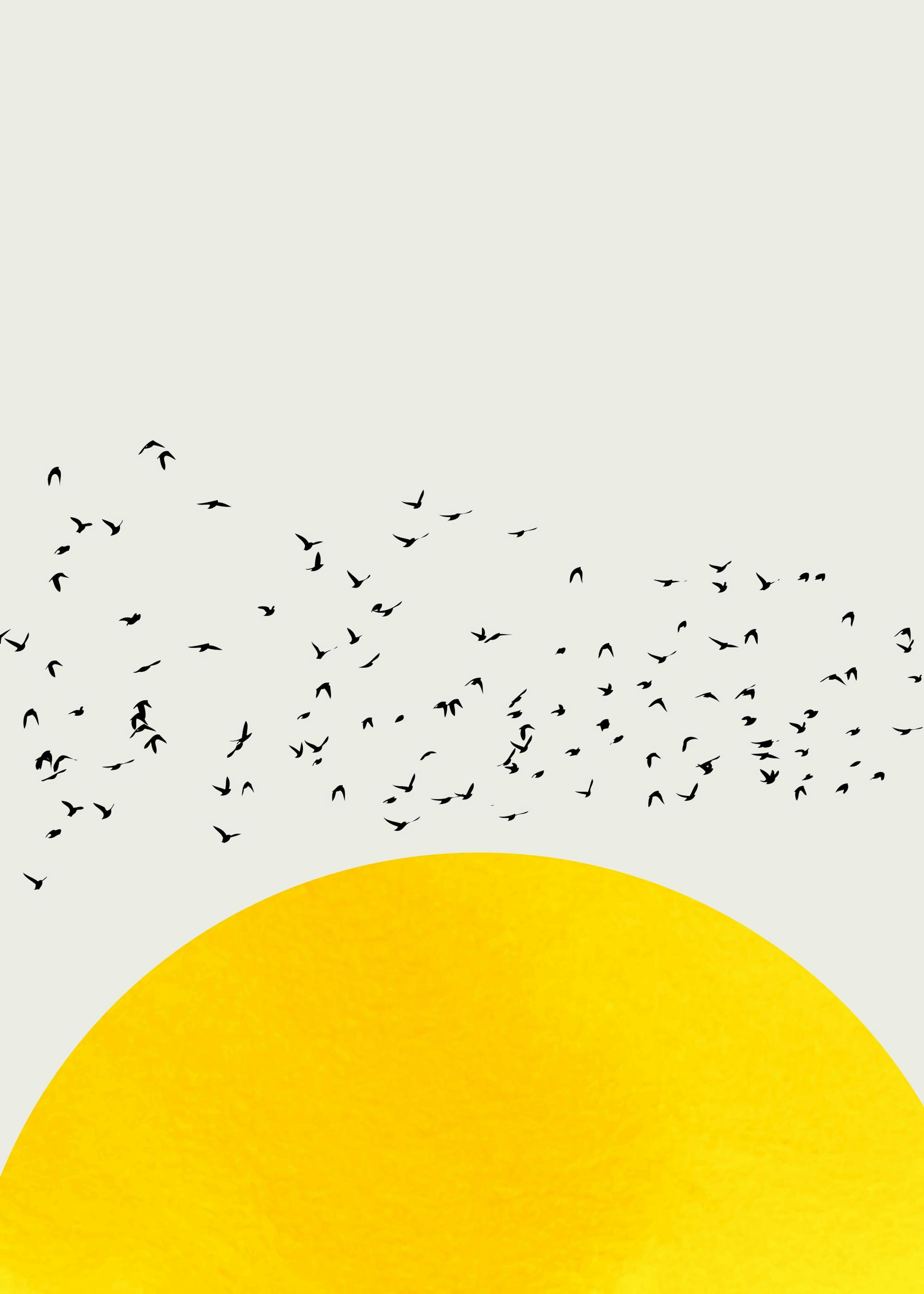 Boris Draschoff / Kubistika - A Thousand Birds Print 0