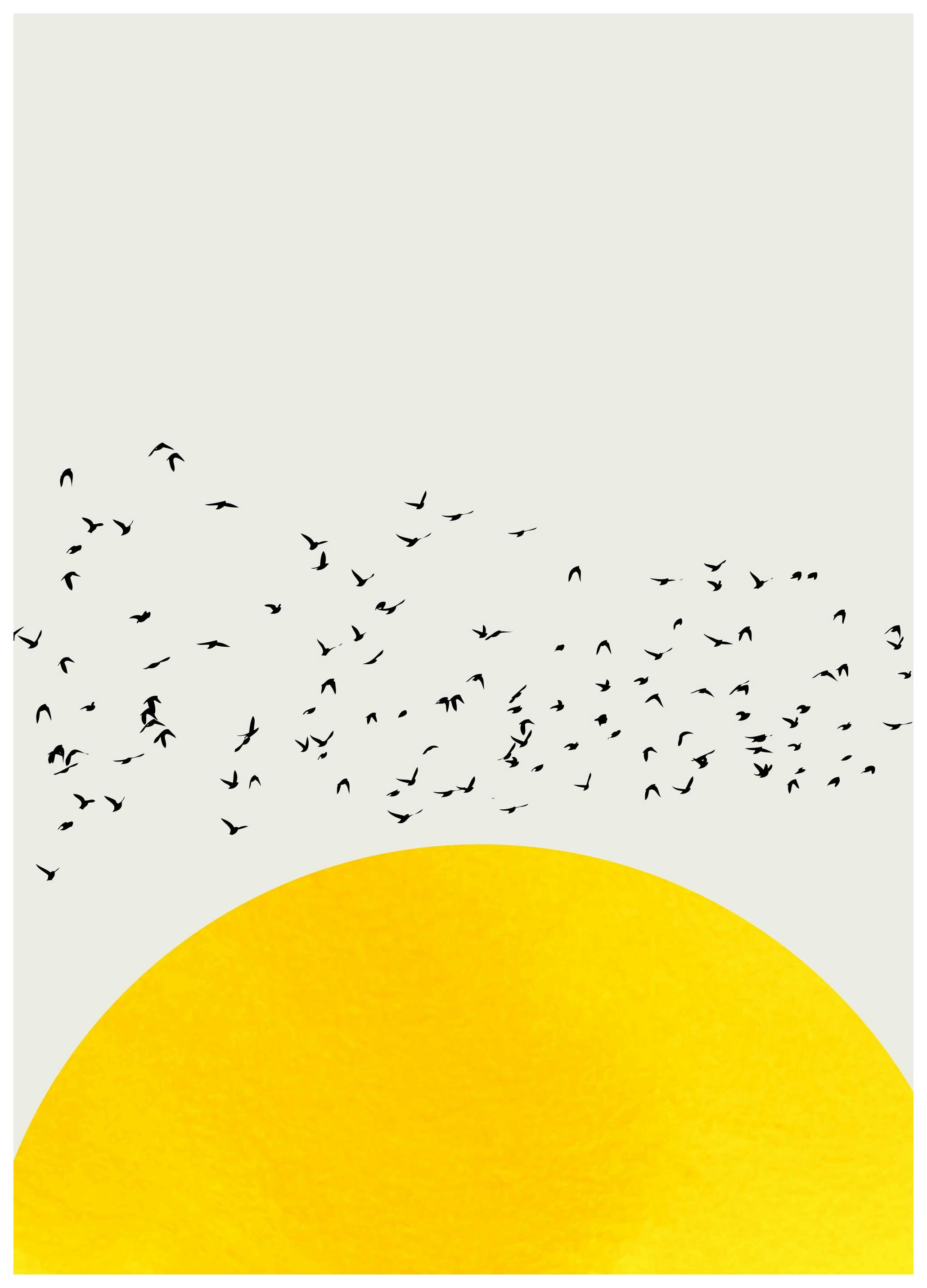 Boris Draschoff / Kubistika - A Thousand Birds Poster (70x100 cm) -  Grafikposter