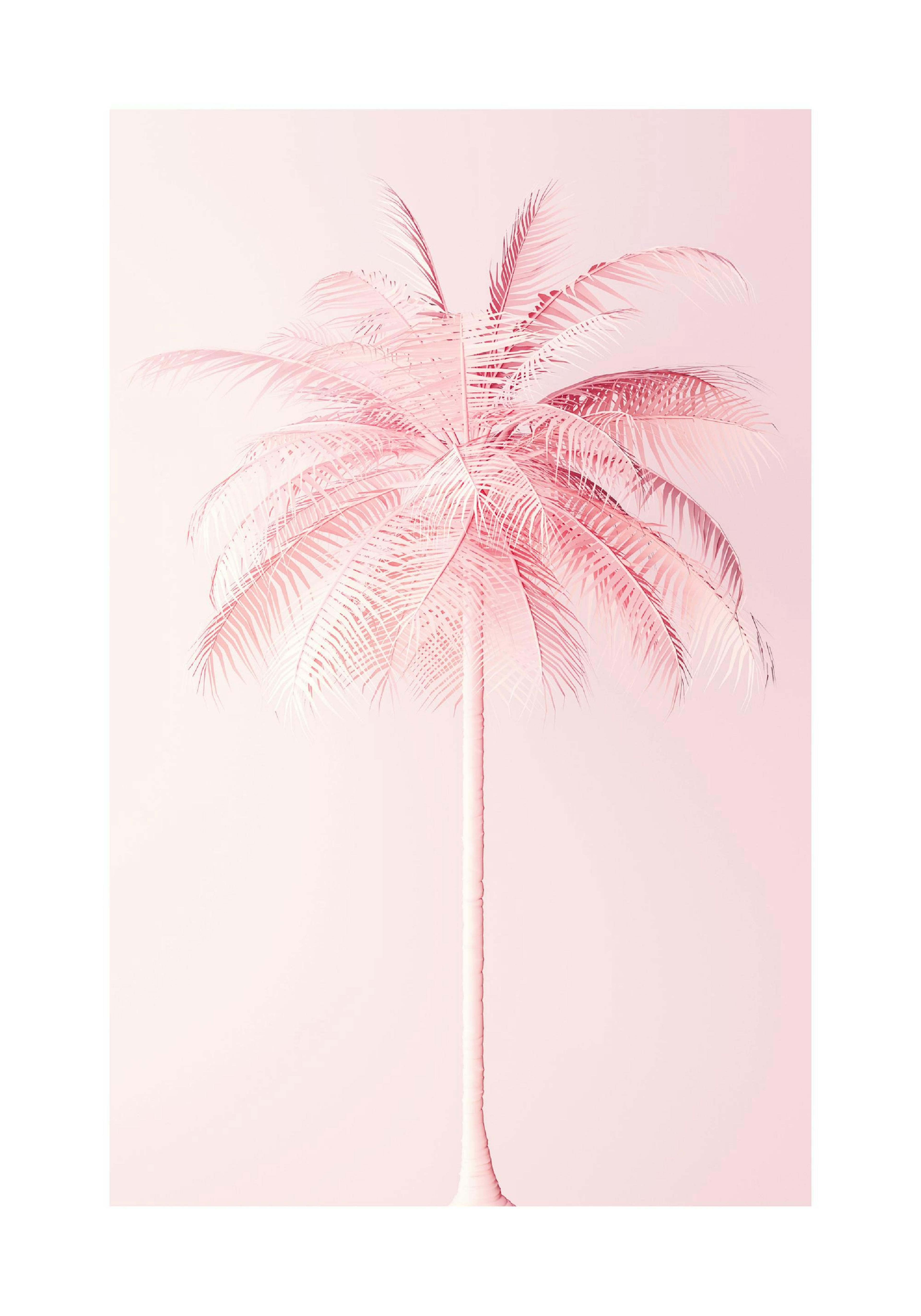 Pastel Pink Palm Plakat