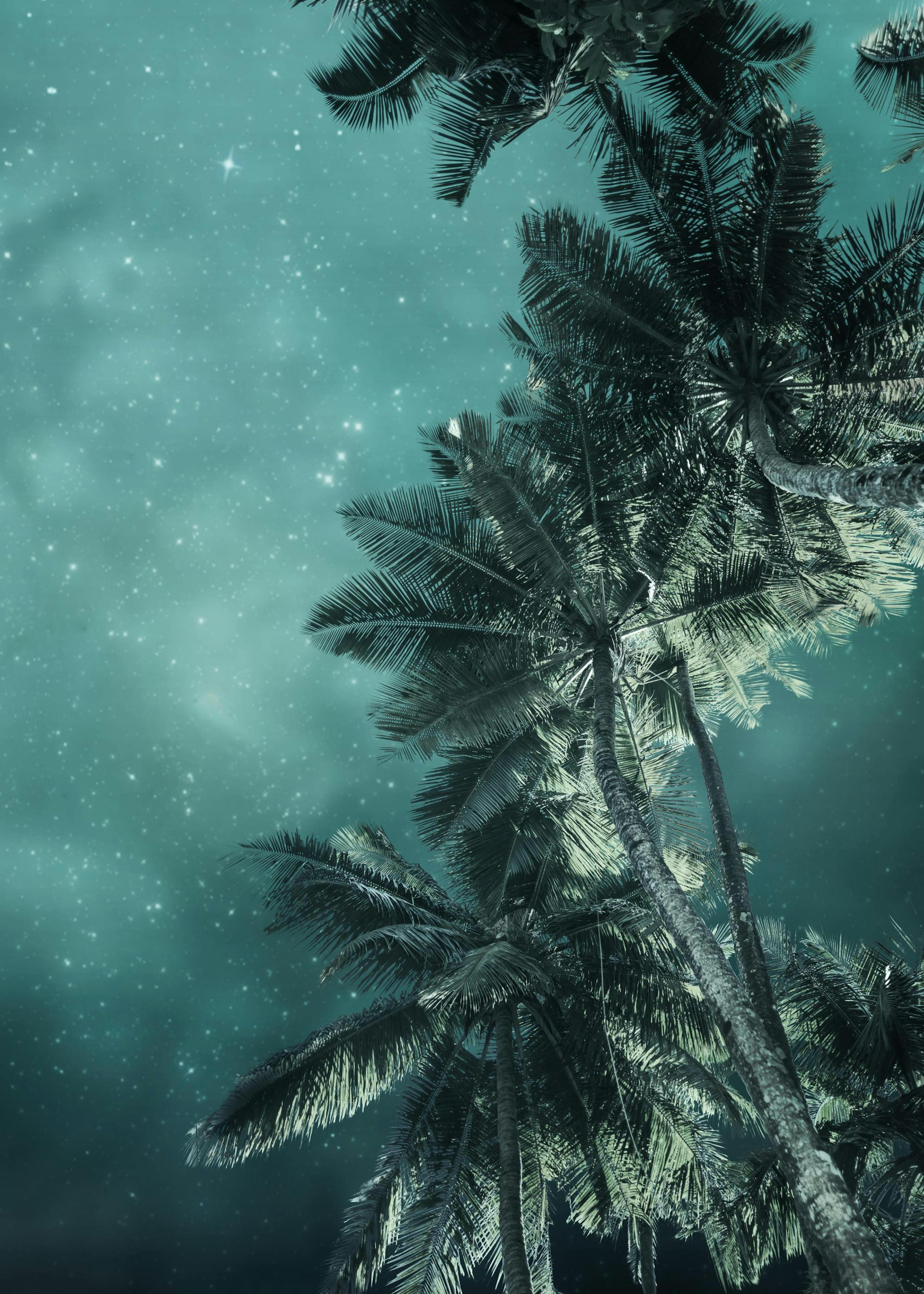 Tropical Night No3 Print 0