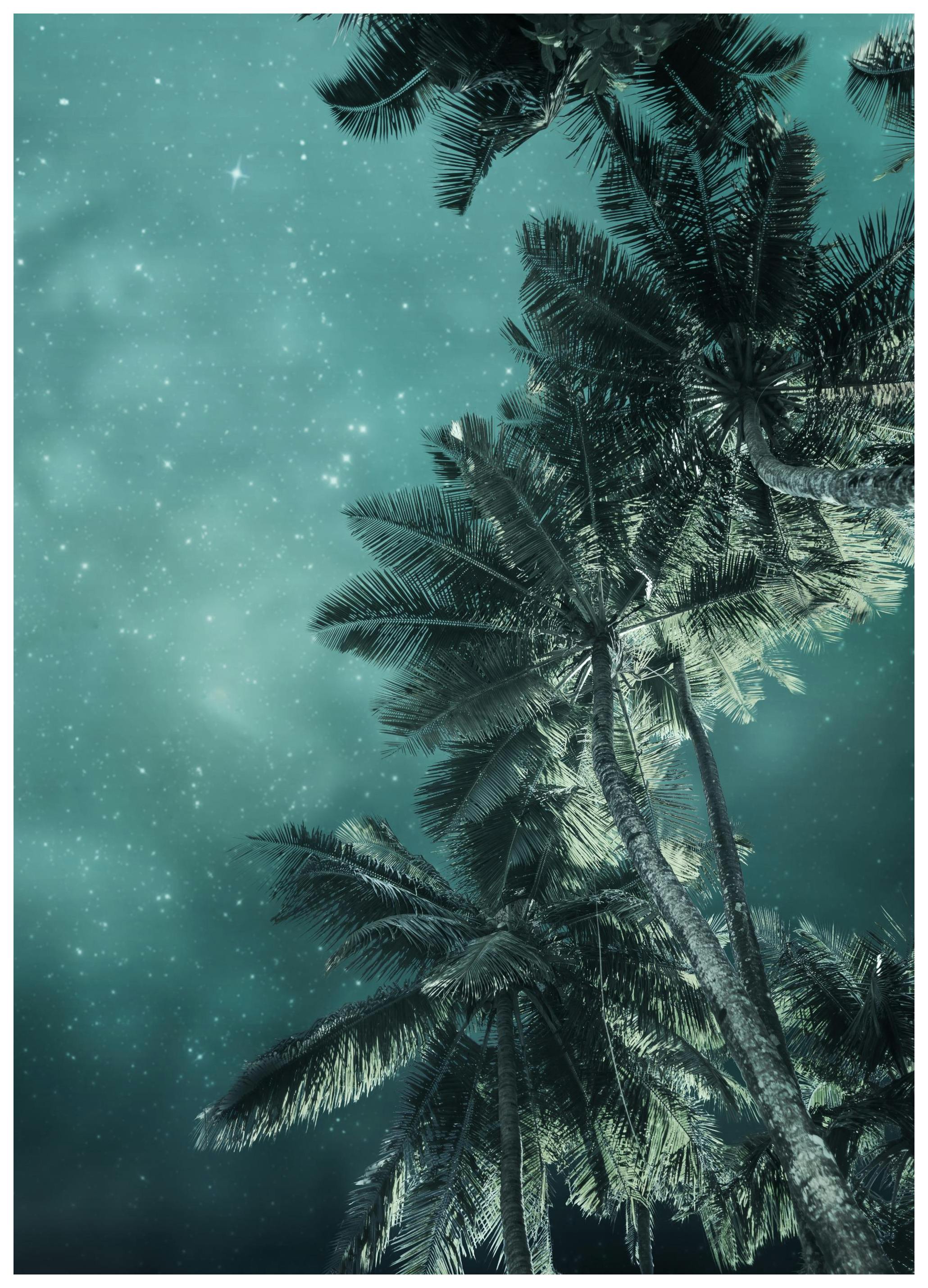 Tropical Night No3 Plakat (50x70 cm) - Plakater > Naturplakater
