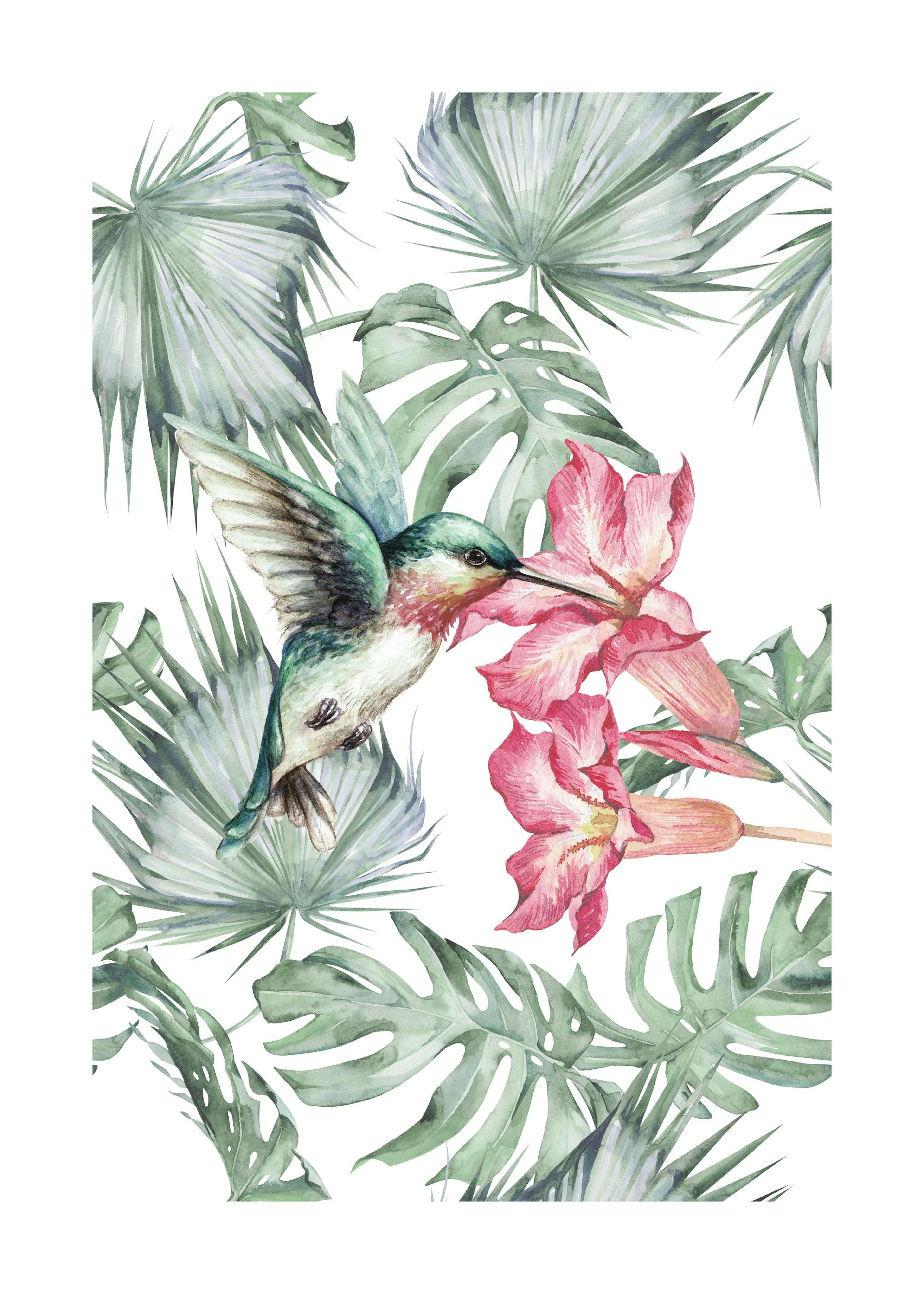 Tropical Bird No1 Plagát 0