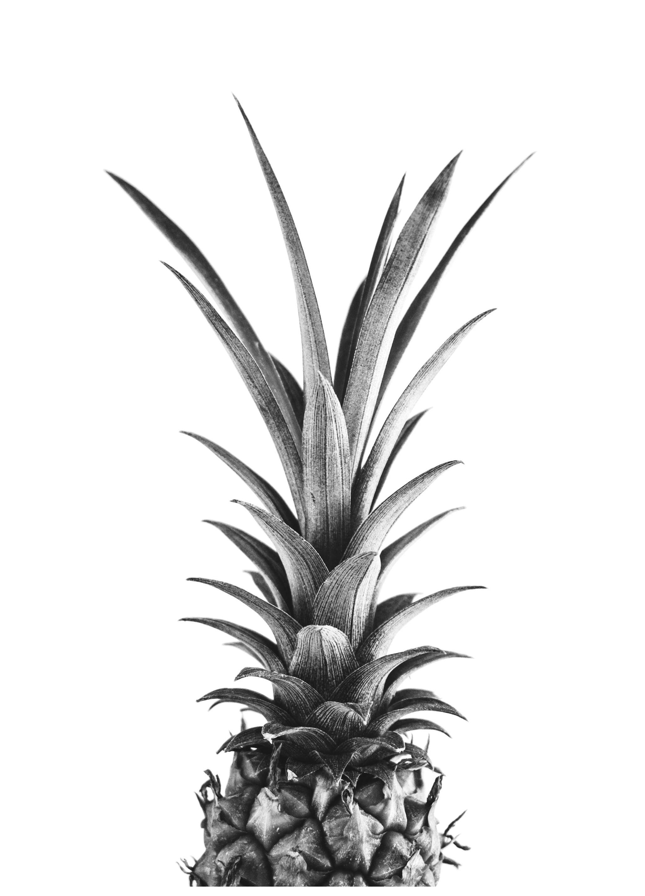 Prints - Pineapple B&W Print (50x70 cm) - Black & white prints