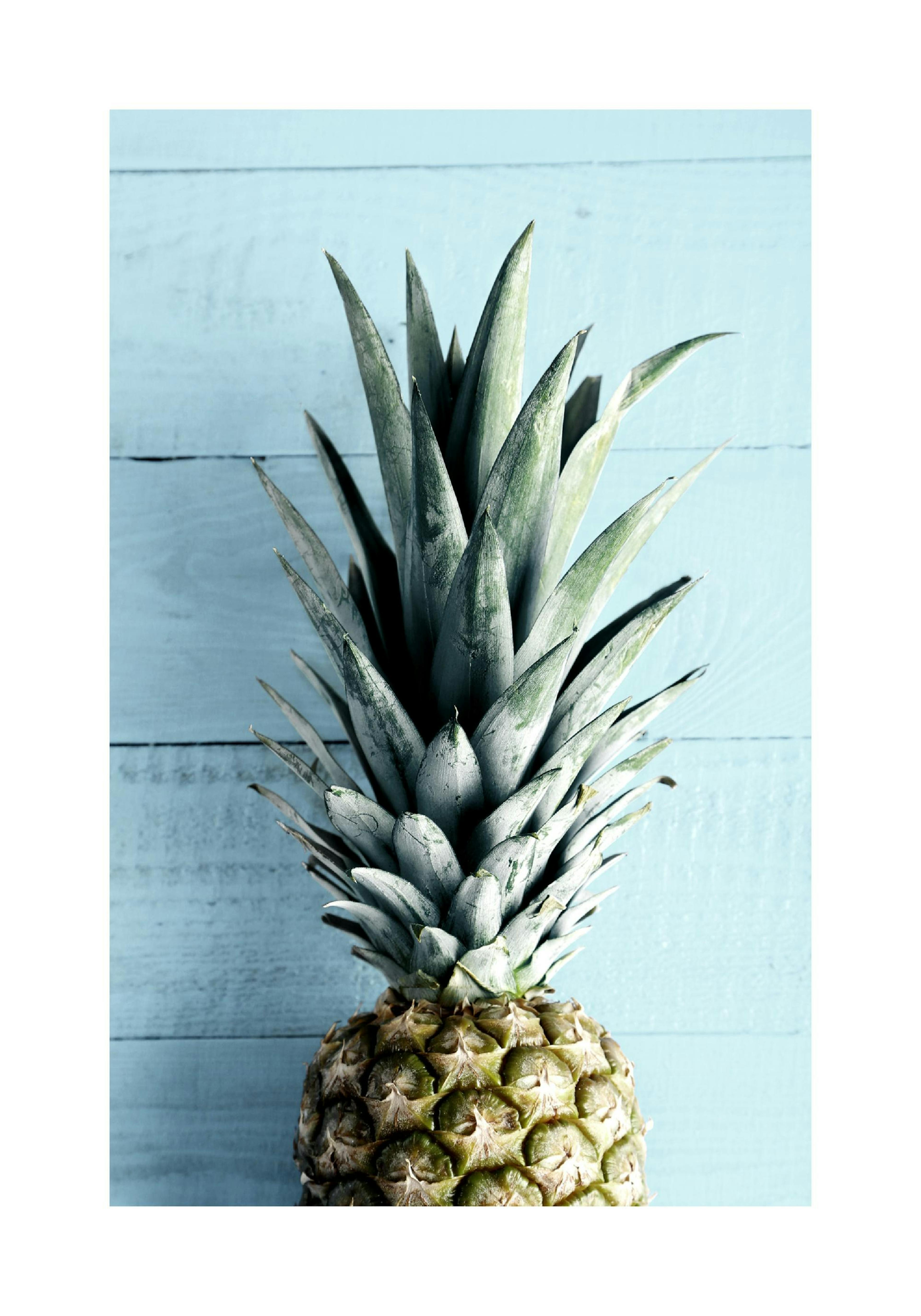 Pineapple Top Print