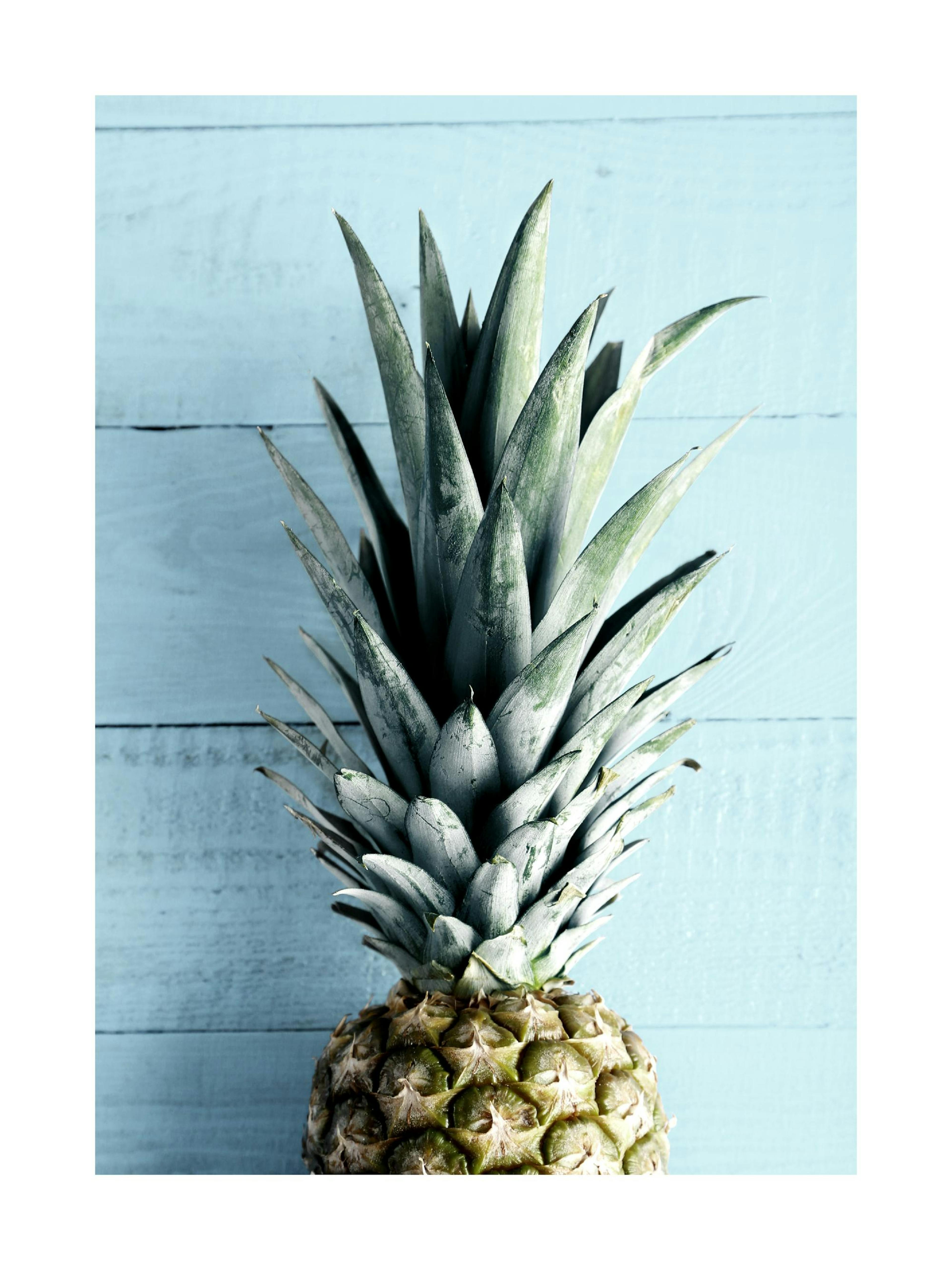 Pineapple Top Plakát 0