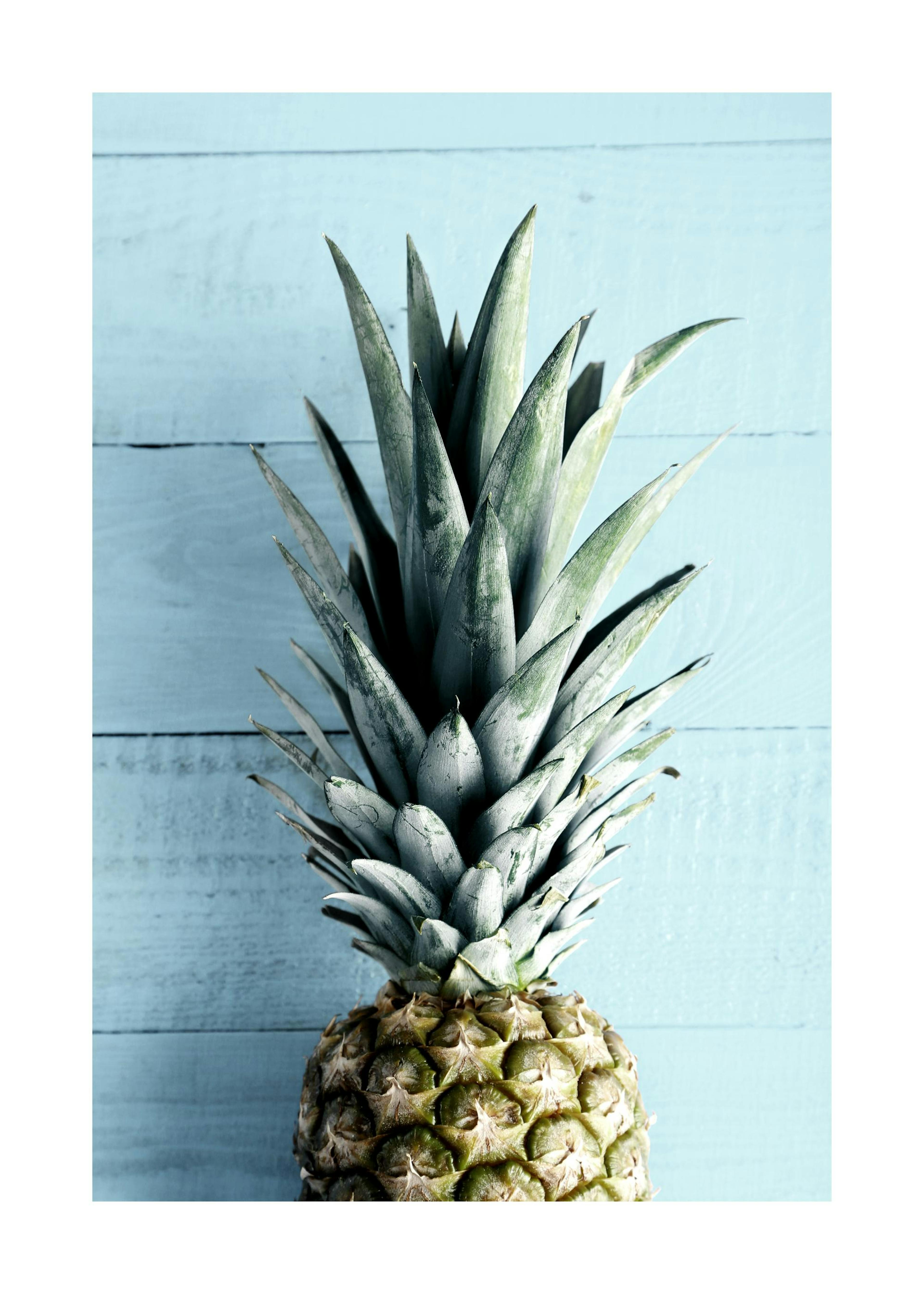 Pineapple Top Print 0