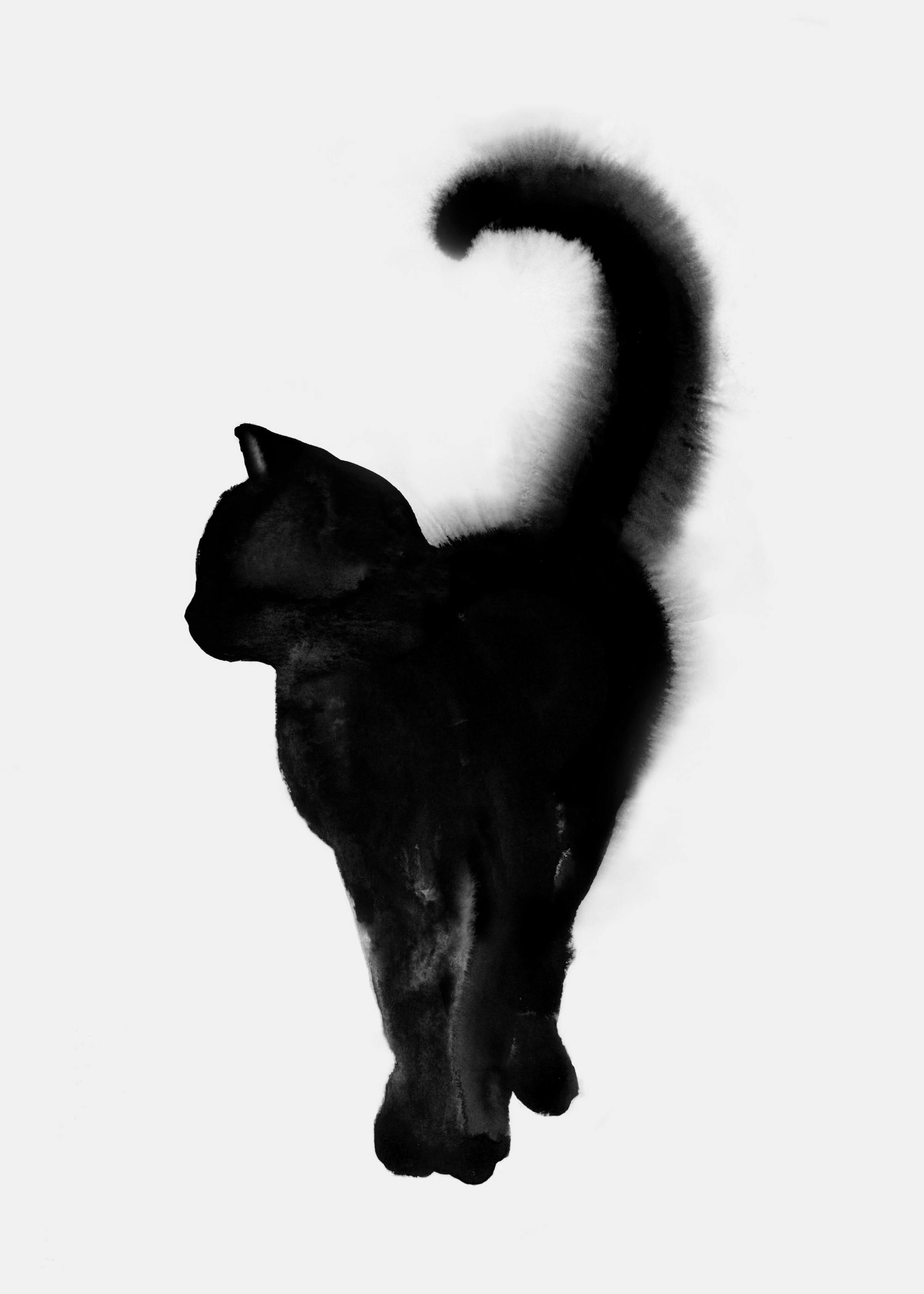 Proud Cat Affiche 0