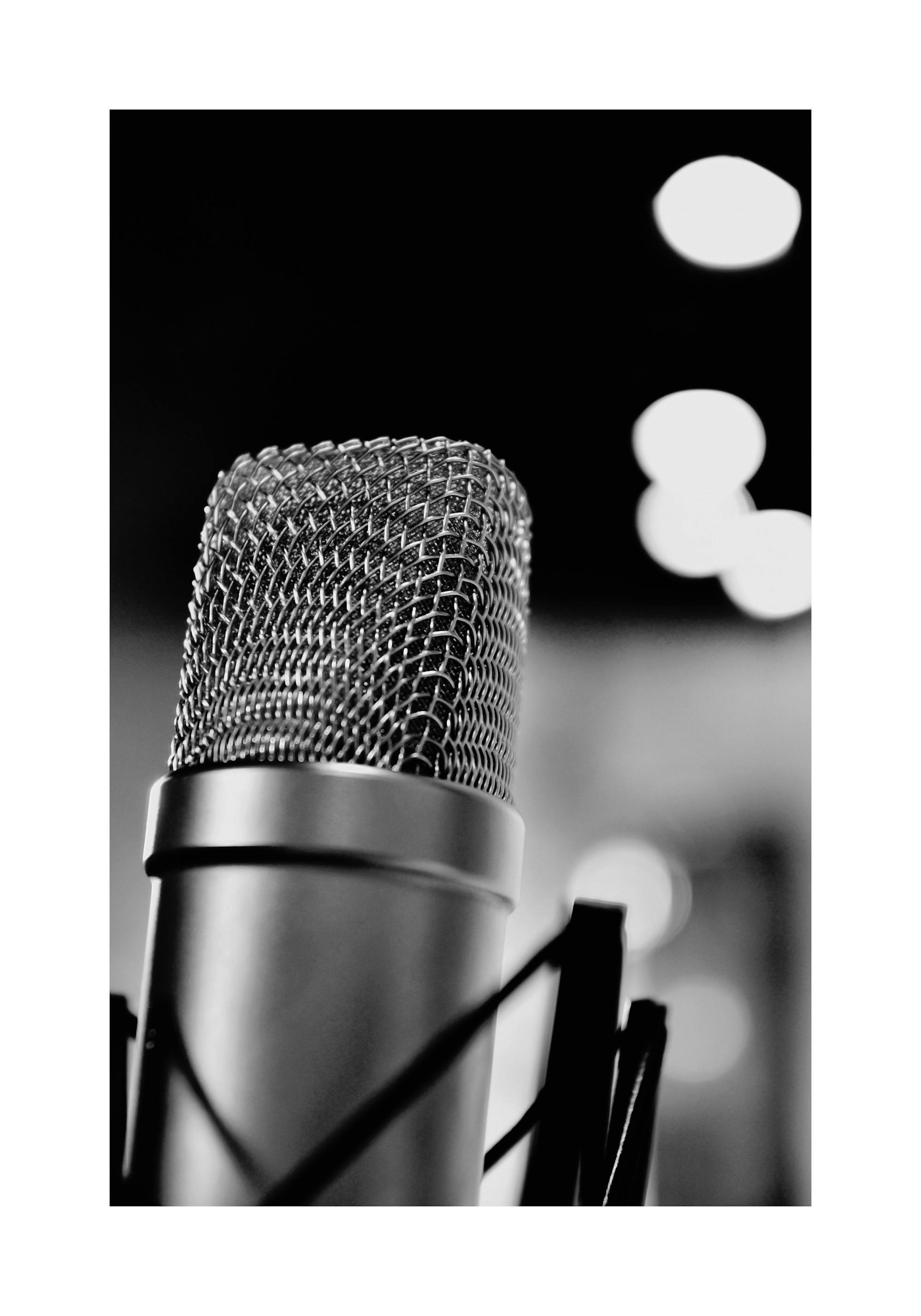 The Microphone 포스터