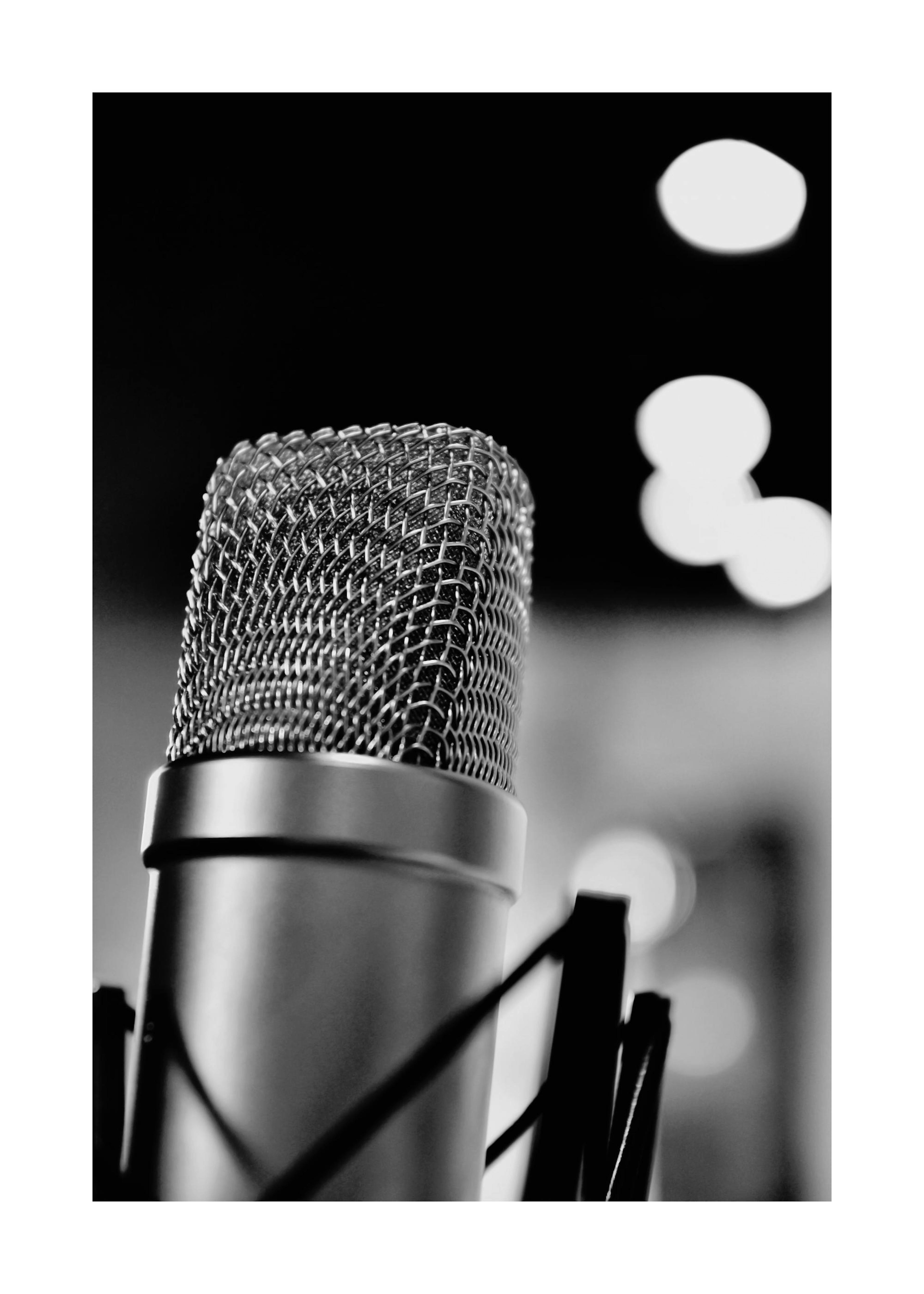 The Microphone Poster 0