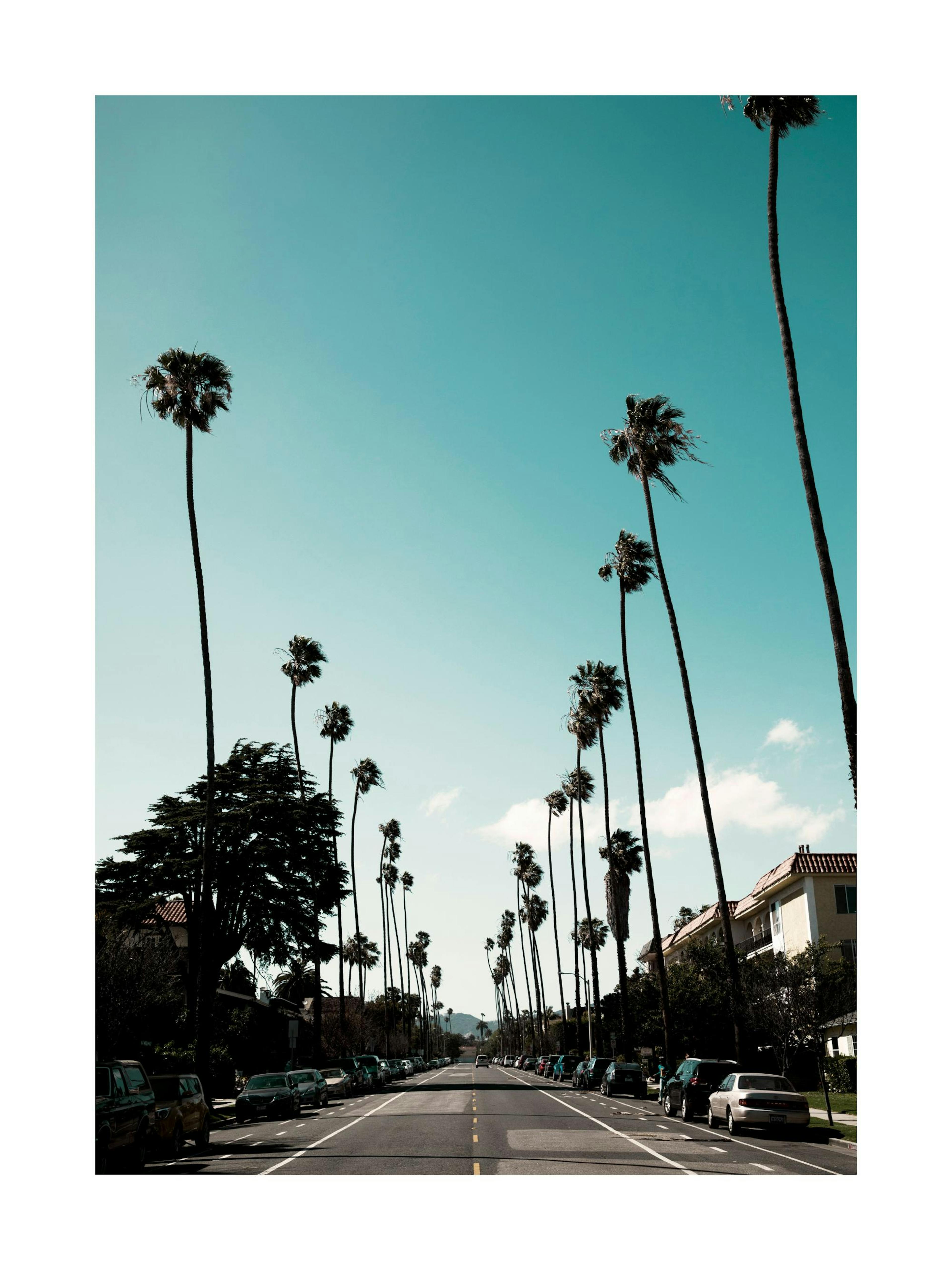 Street of Los Angeles Print