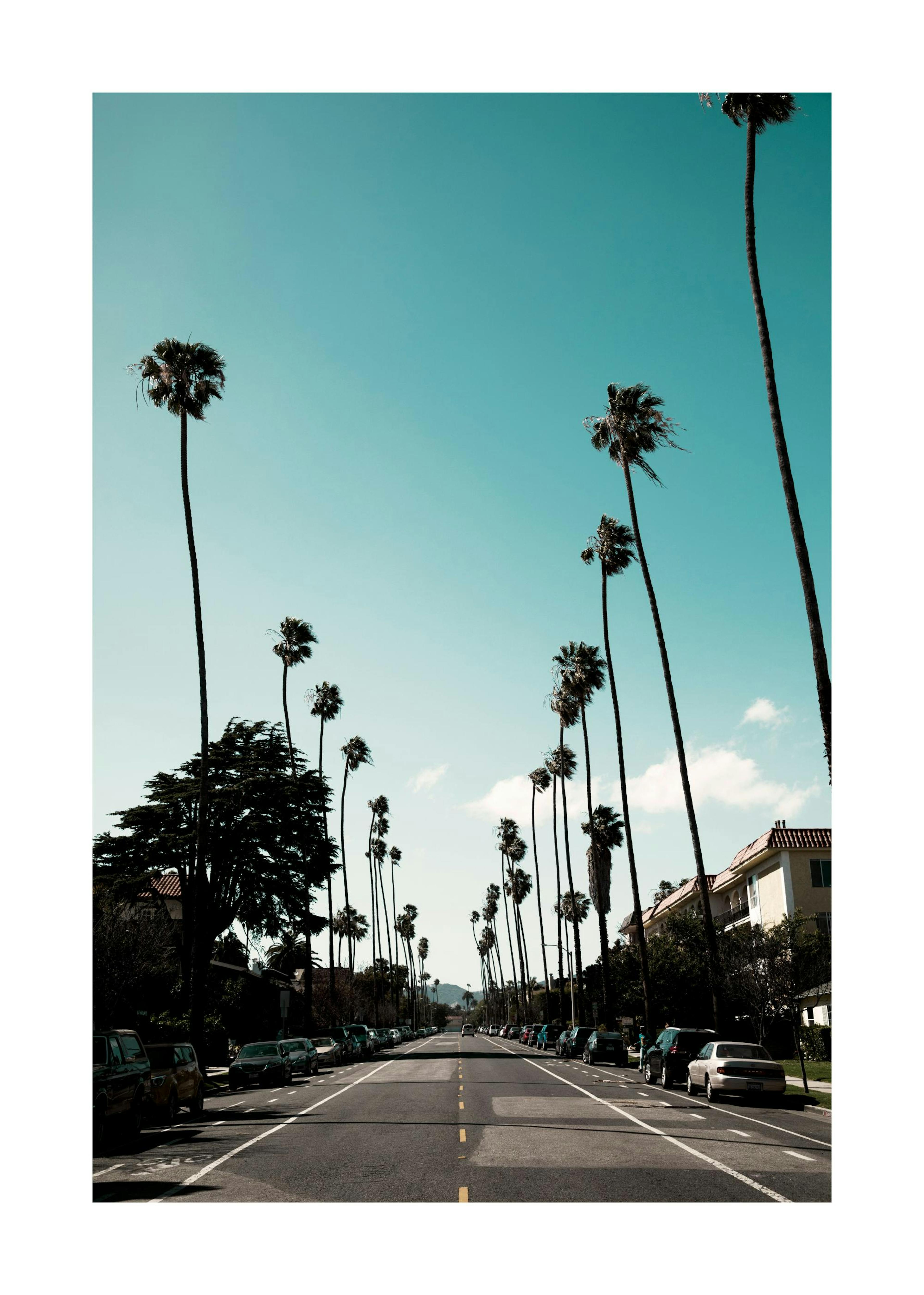Street of Los Angeles Print 0