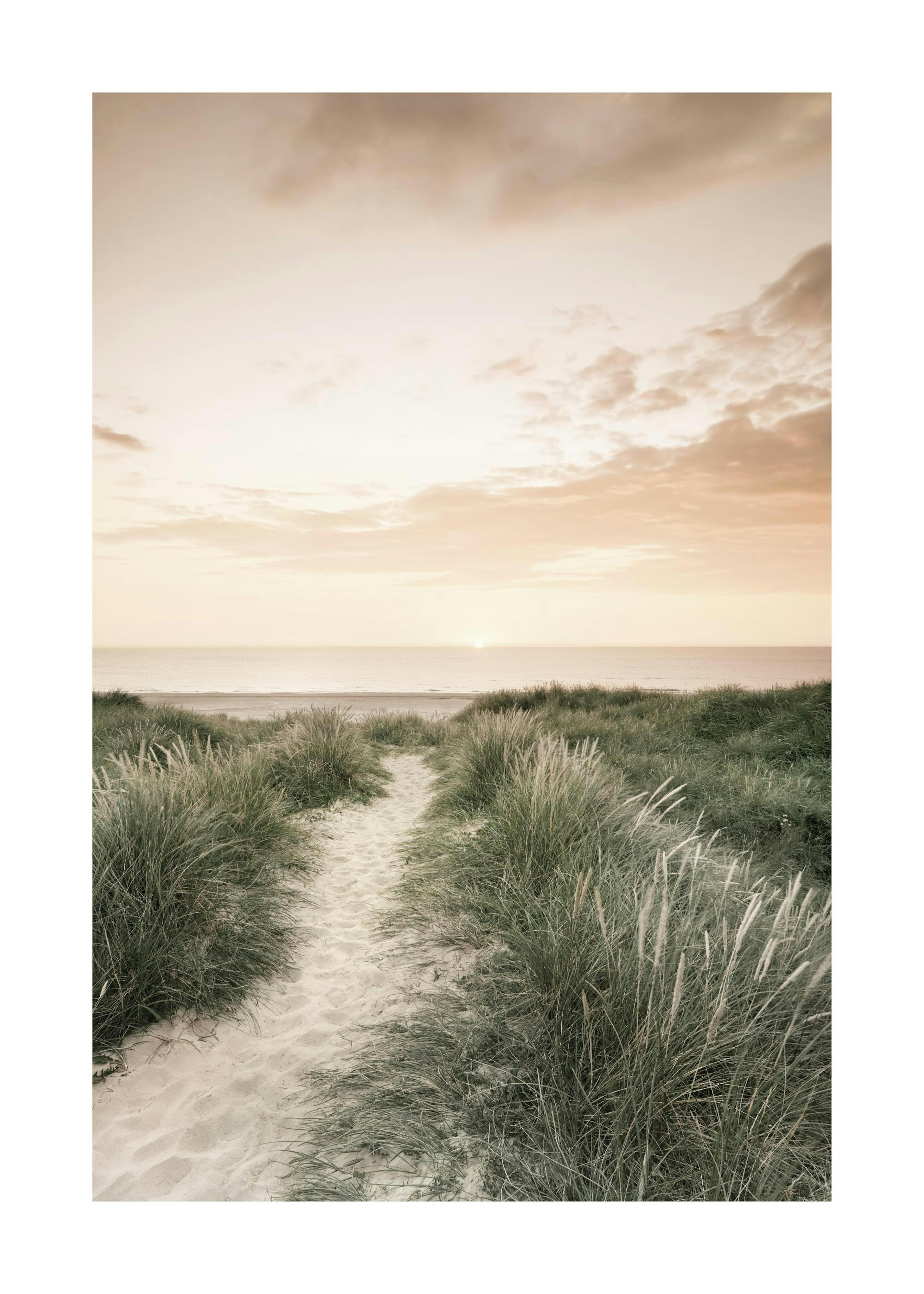 Ocean Sunset Print 0
