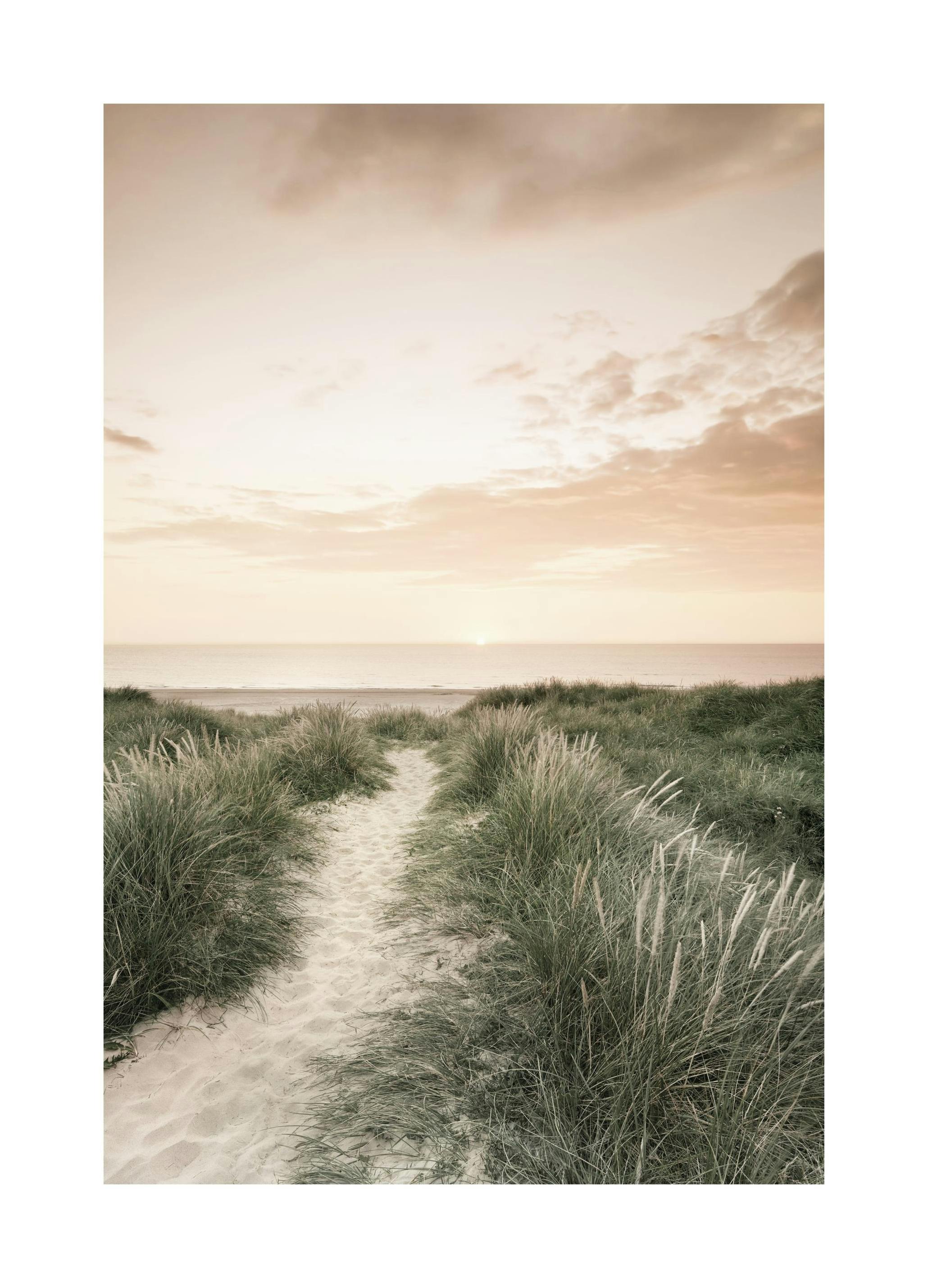 Prints - Ocean Sunset Print (50x70 cm) - Nature prints