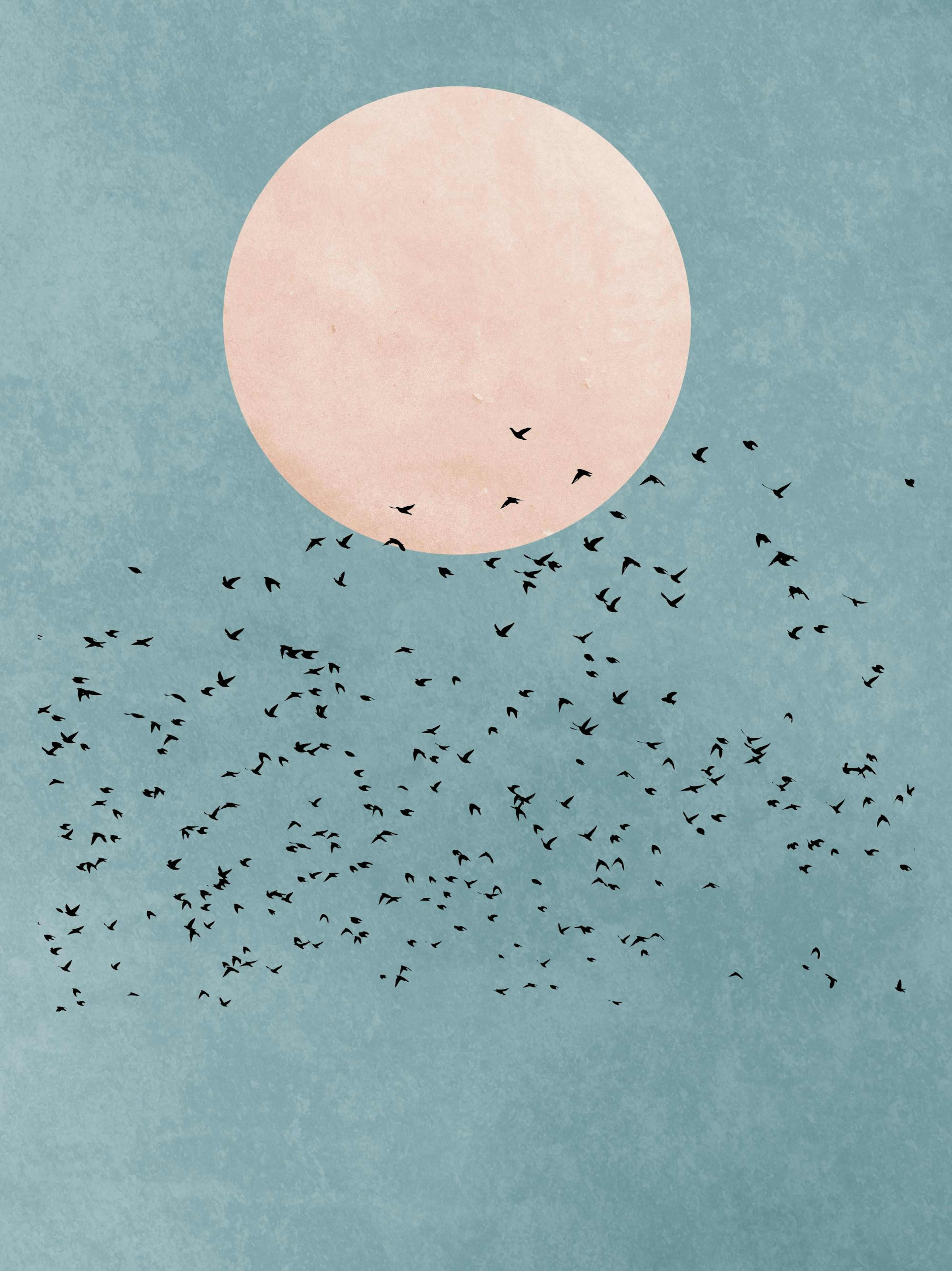 Boris Draschoff / Kubistika - Birds Fly Away 포스터