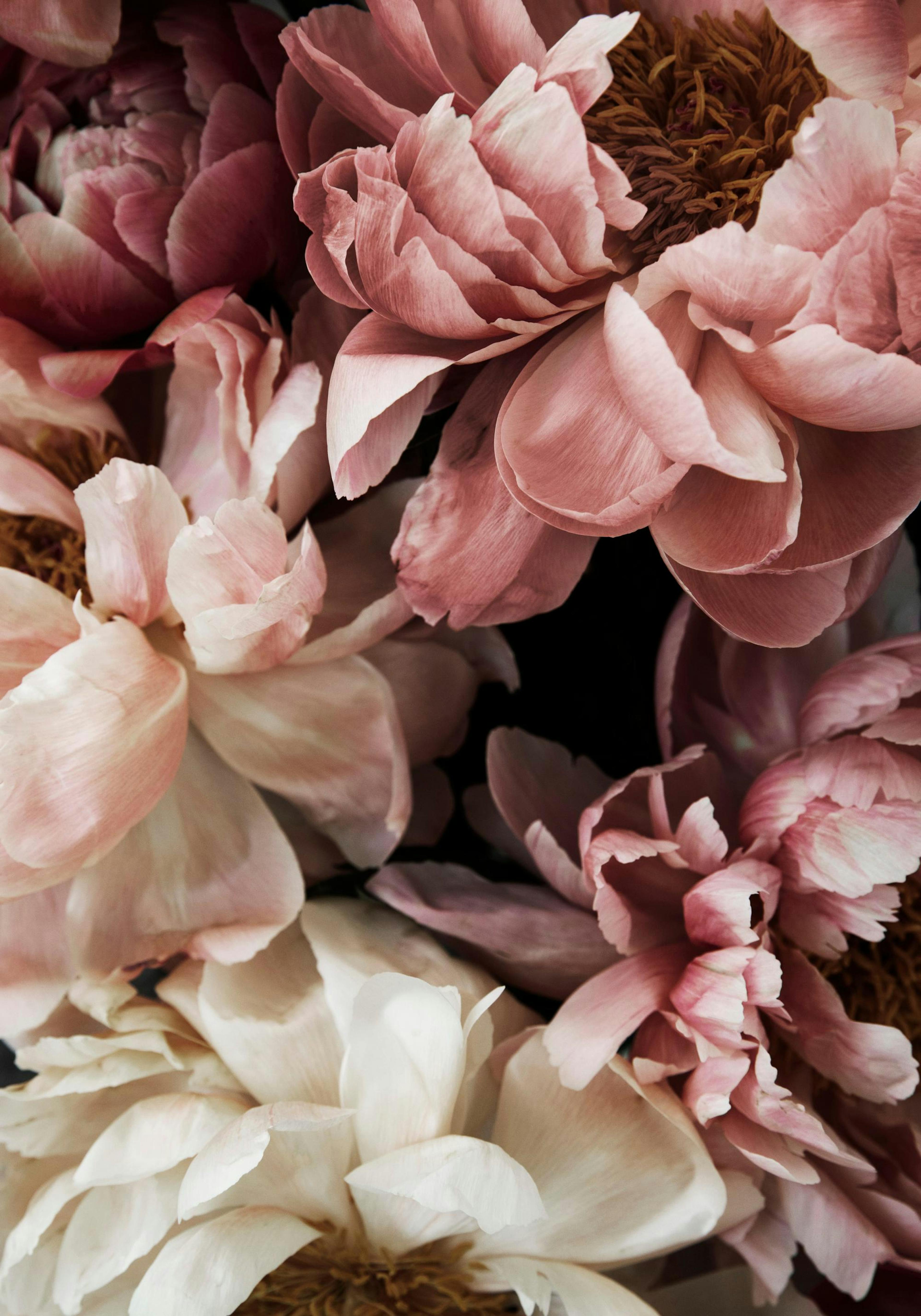 Flower Wall