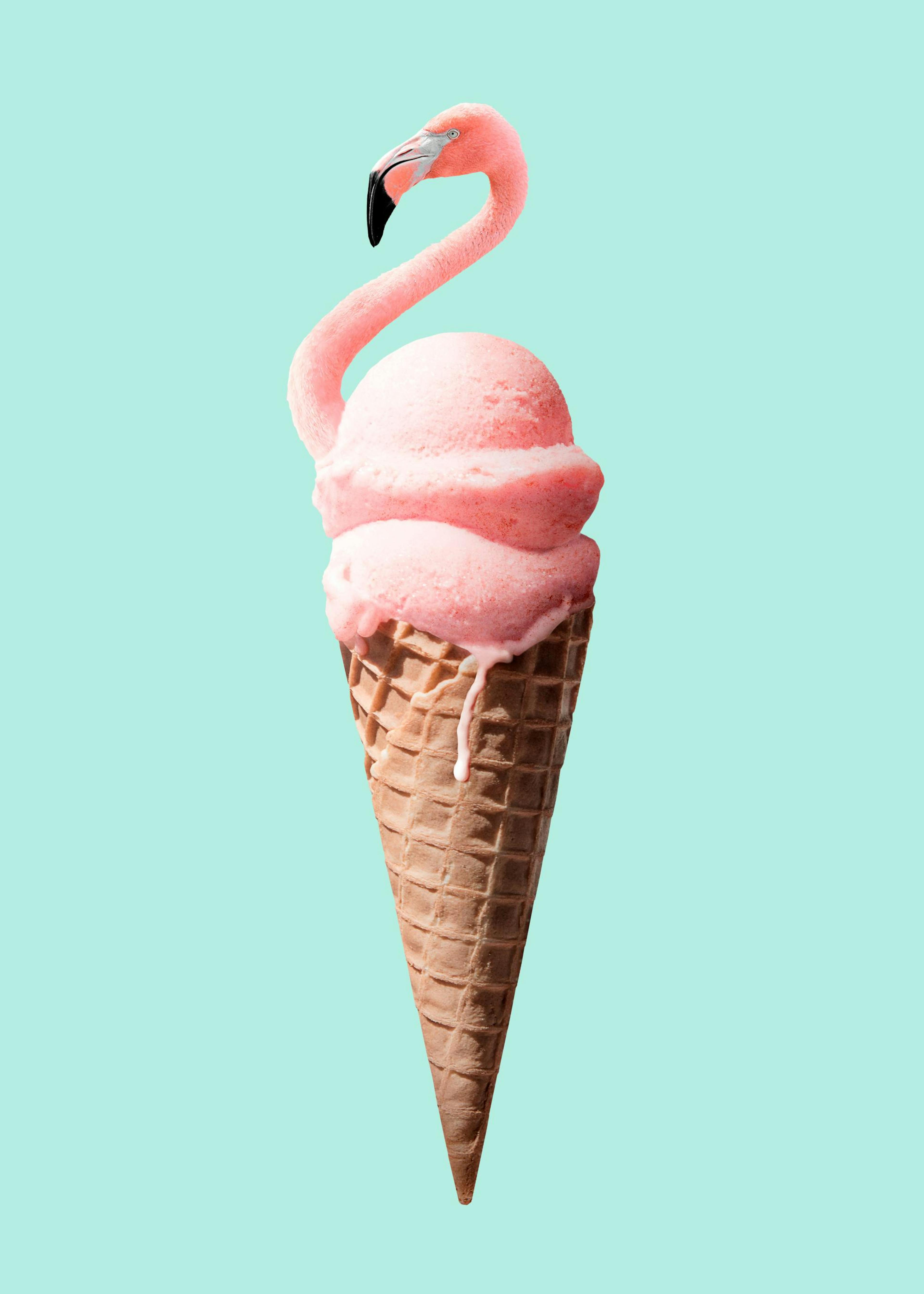 Jonas Loose - Flamingo Cone Poster 0