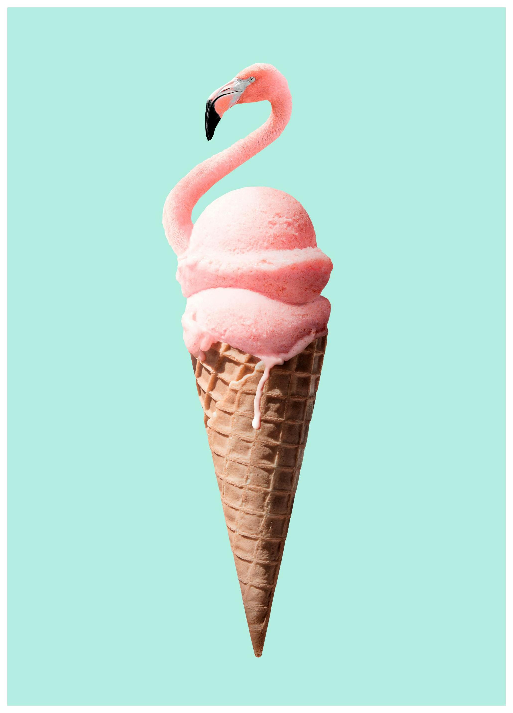 Jonas Loose - Flamingo Cone Poster (13x18 cm)