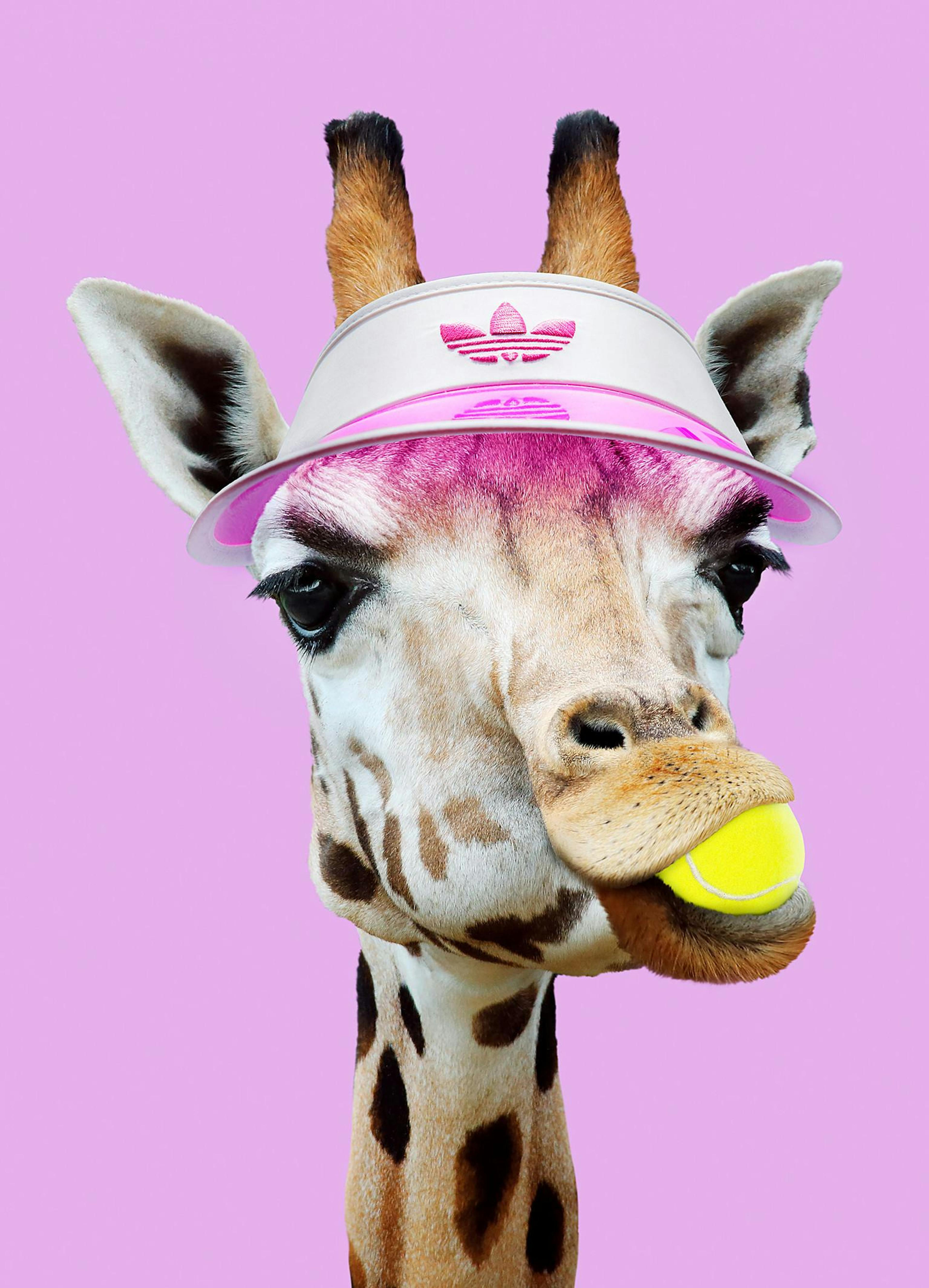 Jonas Loose - Tennis Giraffe Print