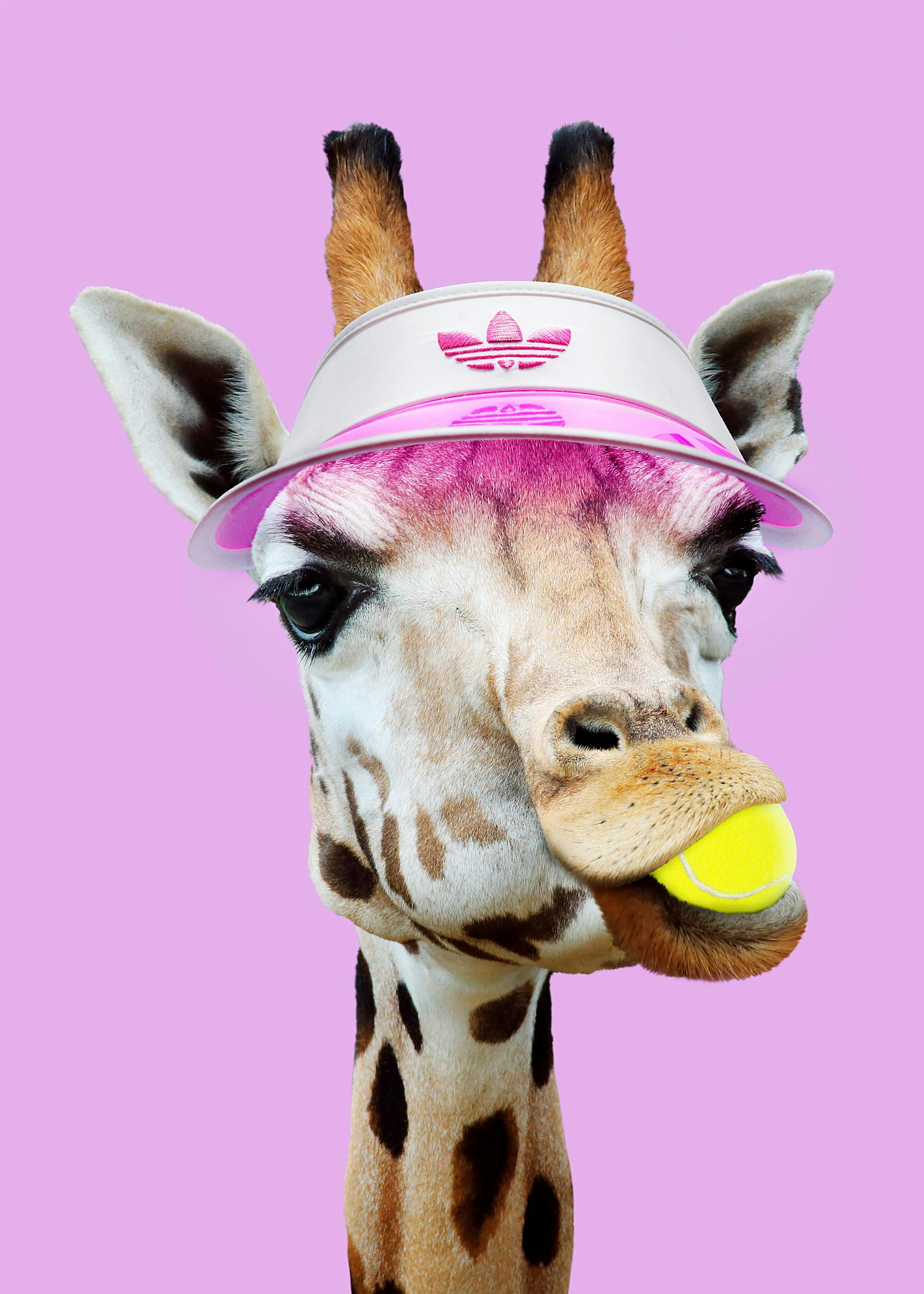 Jonas Loose - Tennis Giraffe Print 0