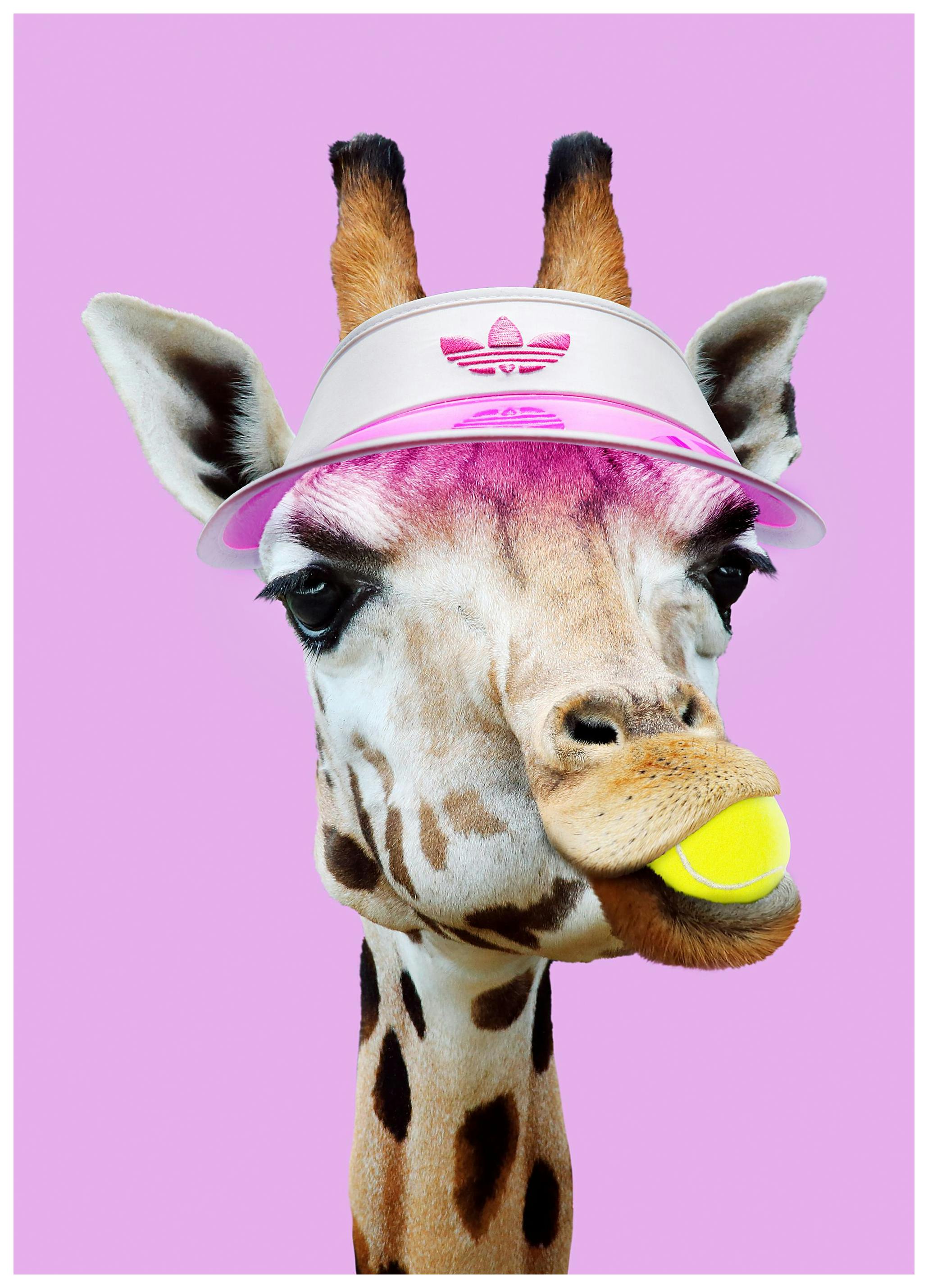 Jonas Loose - Tennis Giraffe Poster (50x70 cm)