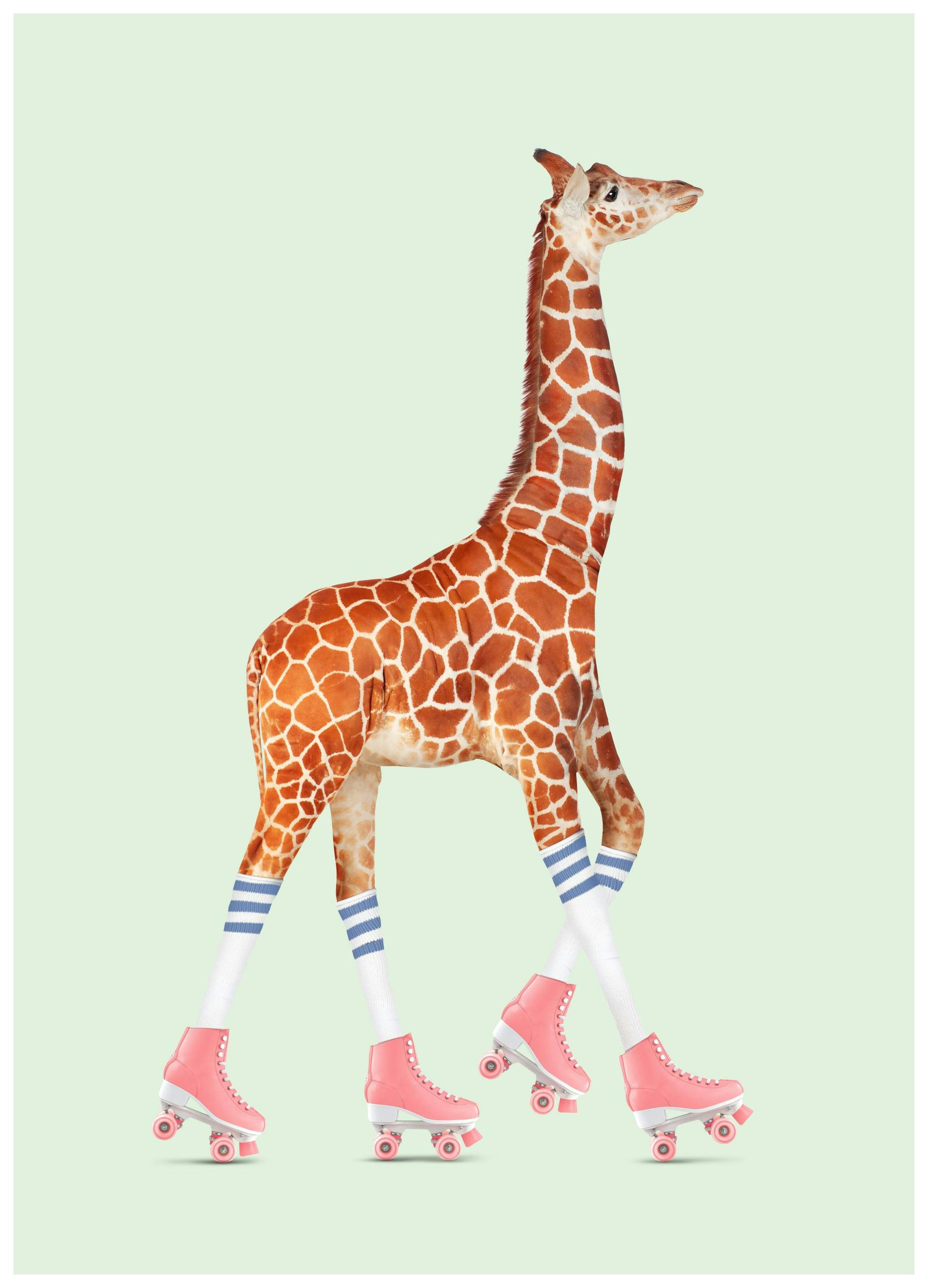 Jonas Loose - Rollerskating Giraffe Poster (21x30 cm)