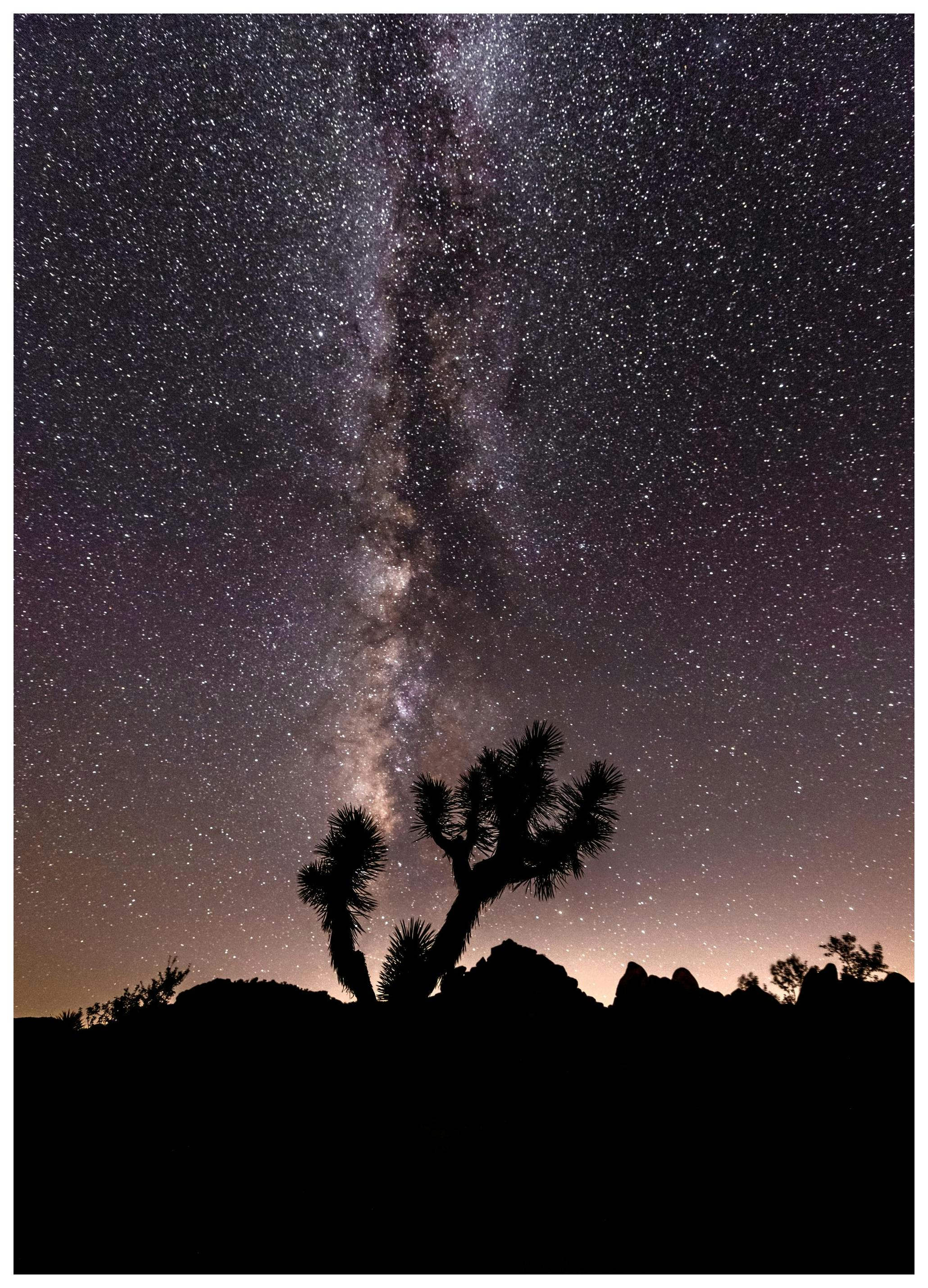 Desert Space Poster (50x70 cm) - Natuur posters