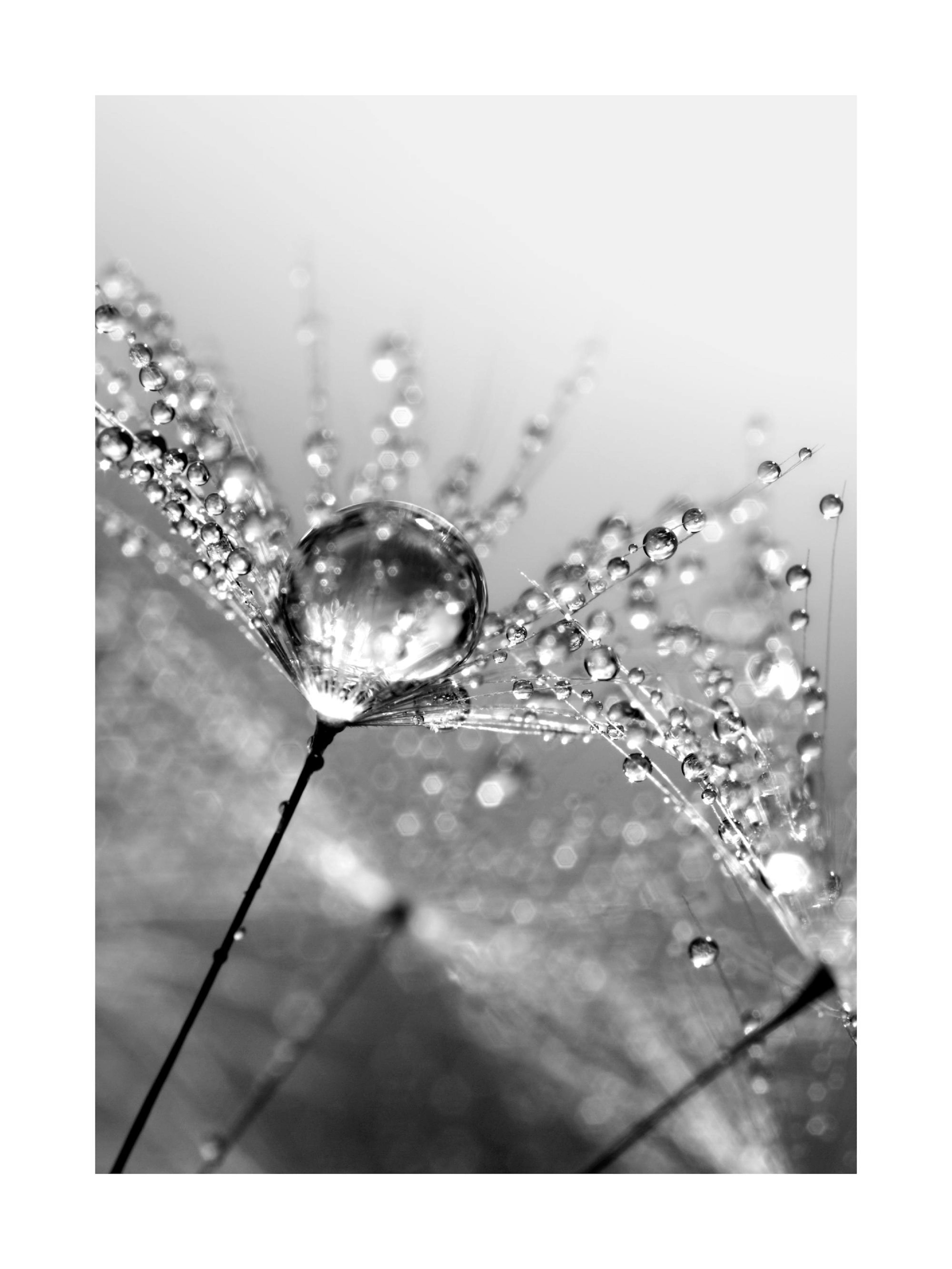 Product image: 1