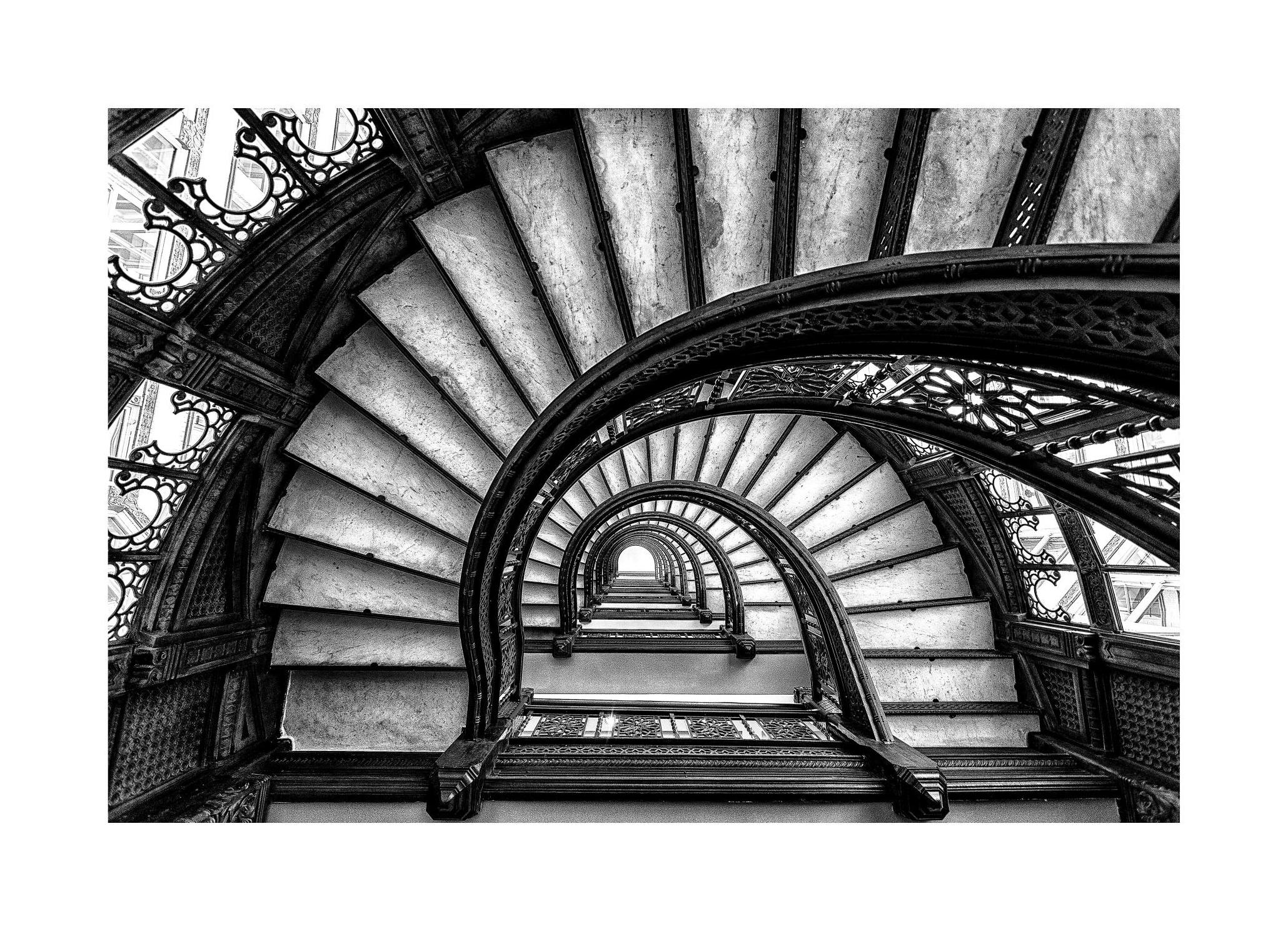 Circular Staircase Plakat (50x70 cm) - Plakater > Svarthvitt plakater