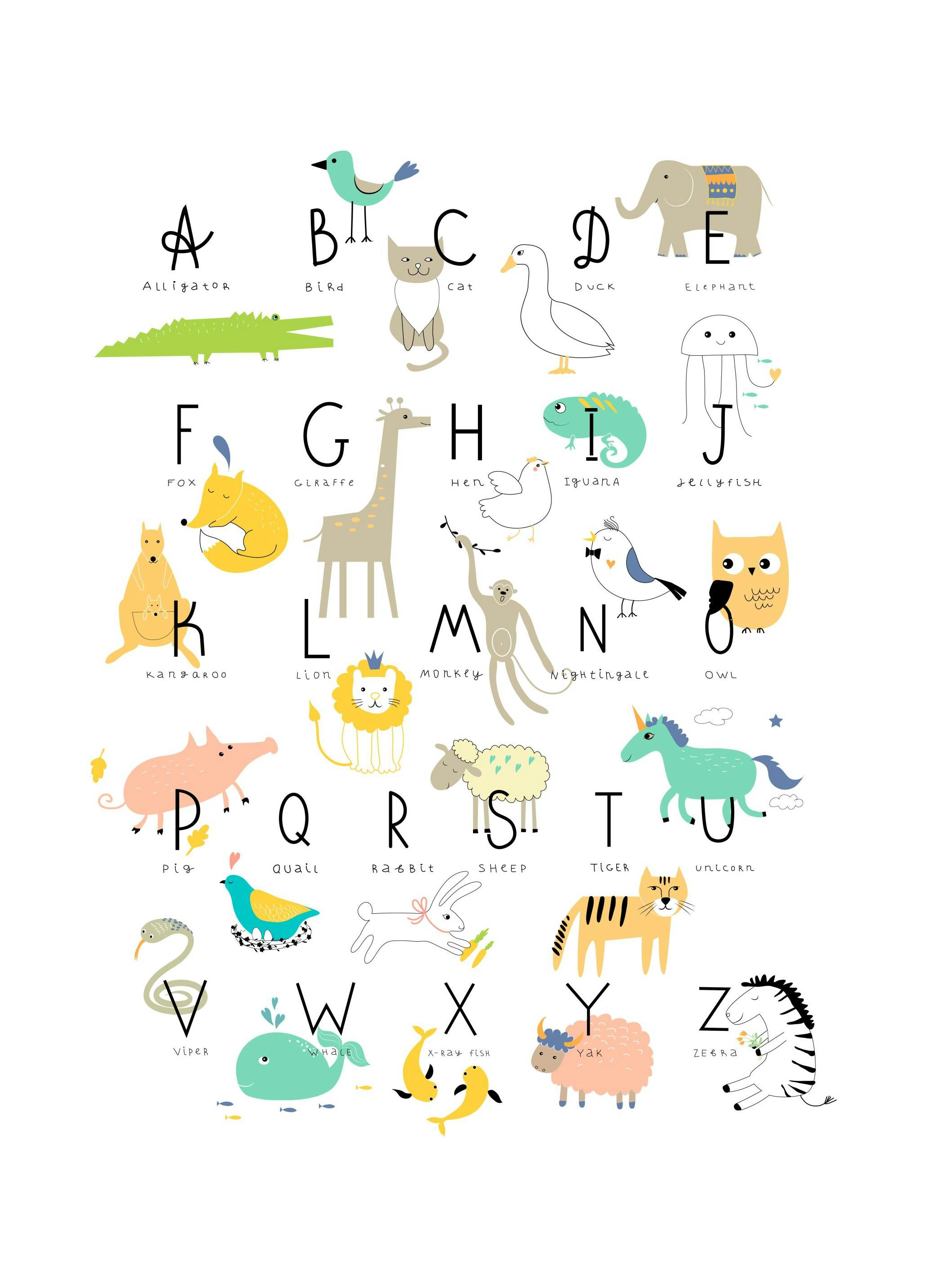 Animal Alphabet Poster (21x30 cm) - Kinderposters