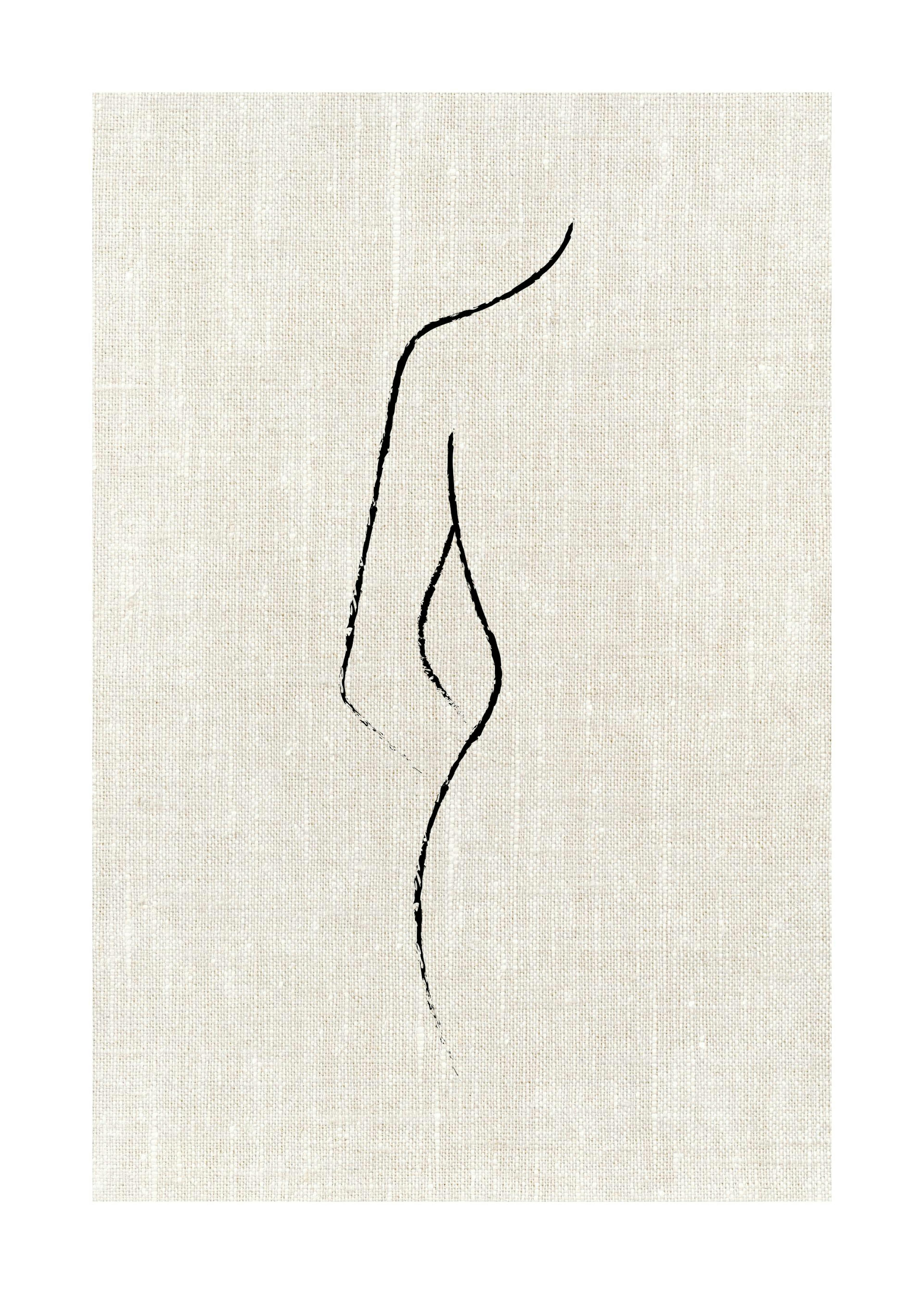 Texture Line Curve Poster 0