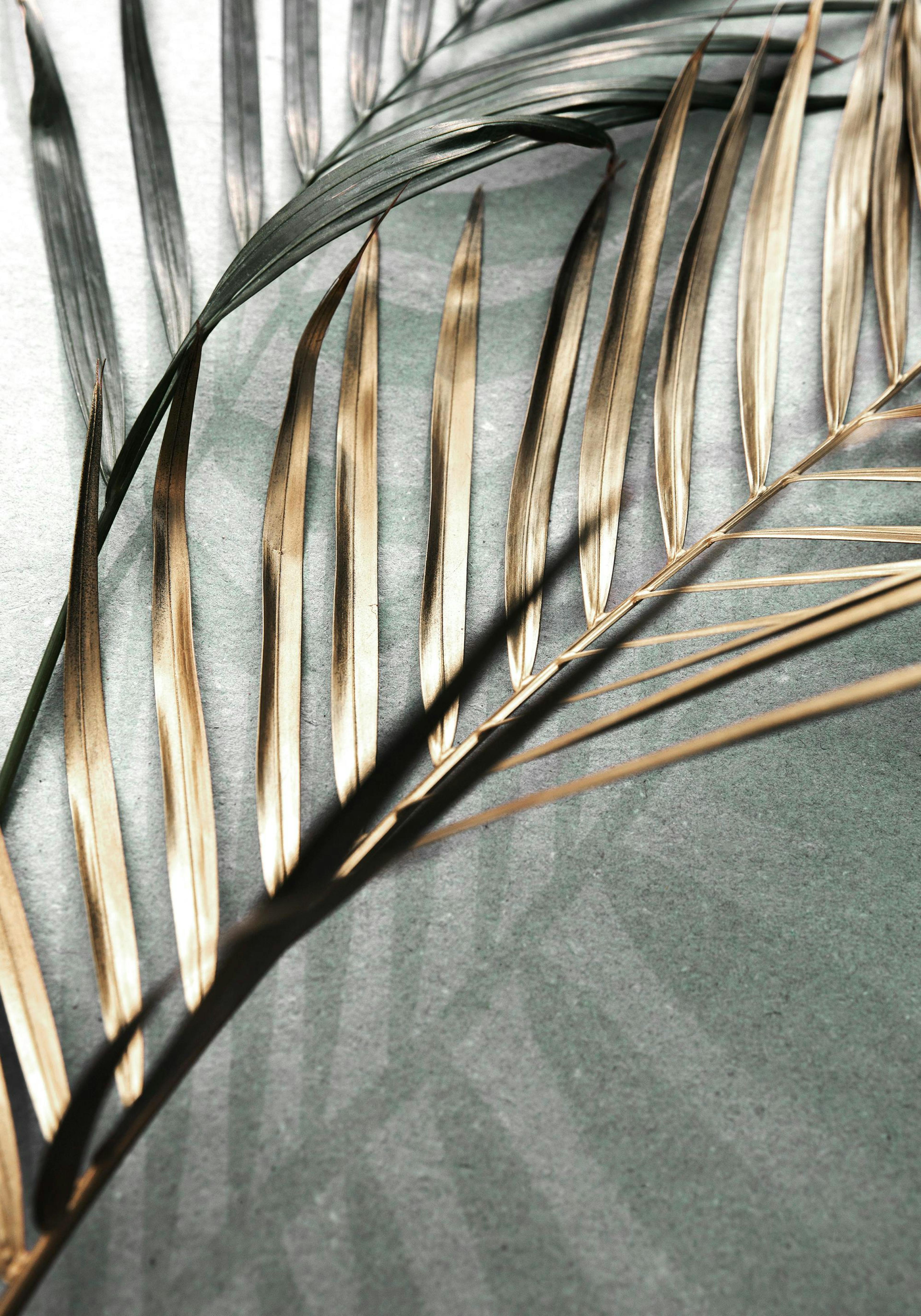 Gold and Green Palm Leaves Print