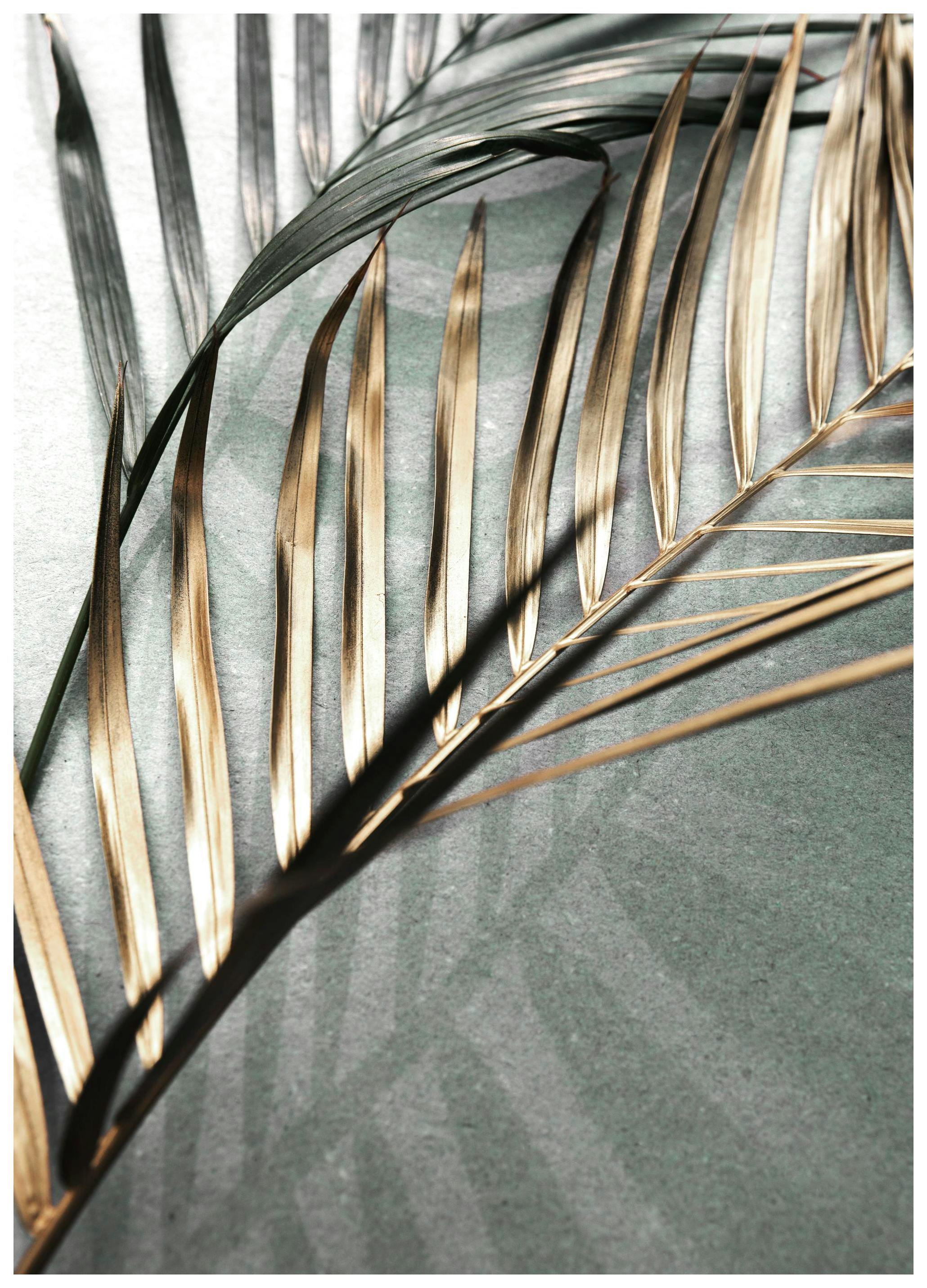 Gold and Green Palm Leaves Affiche (30x40 cm) - Photographies