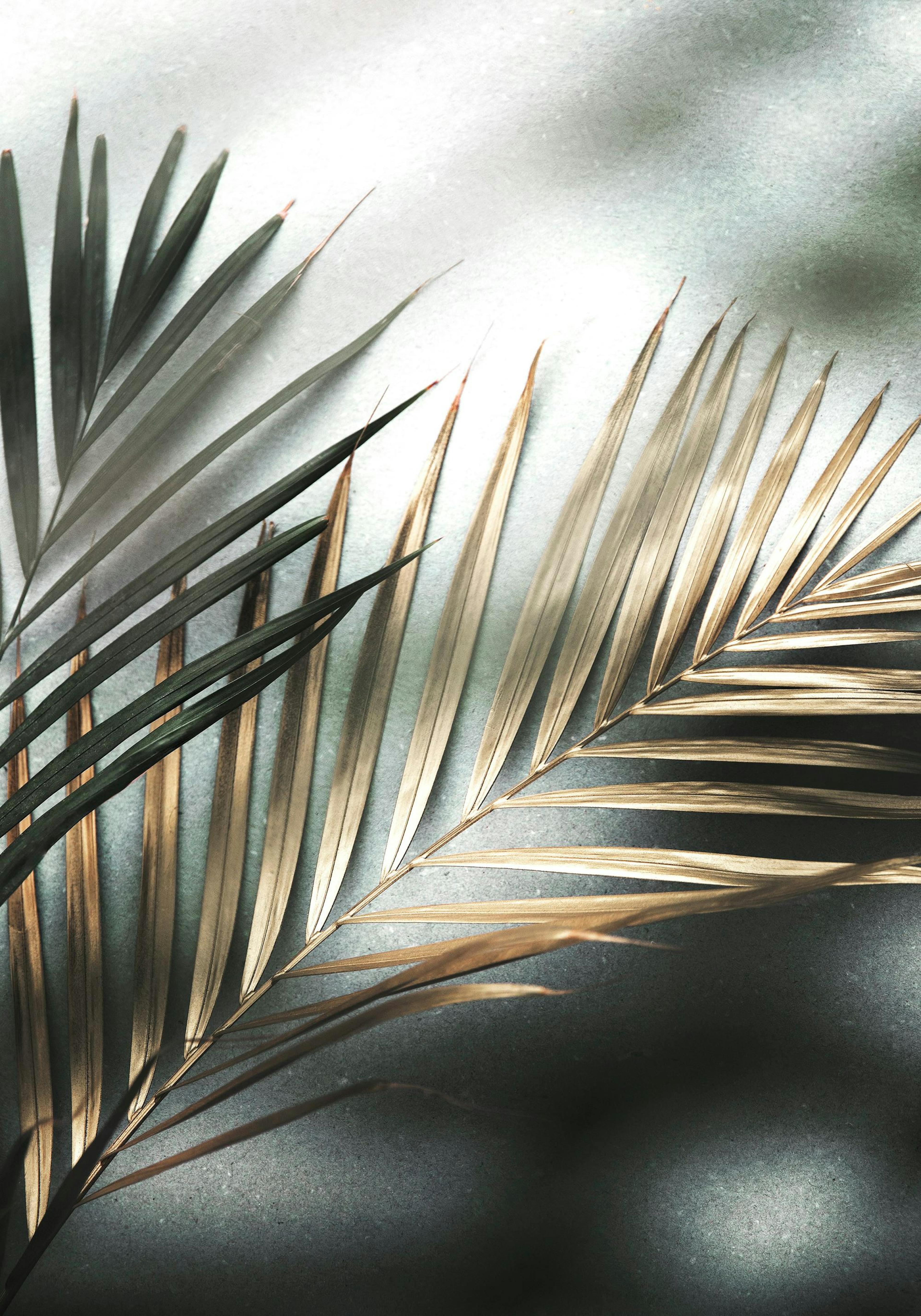 Golden Palm Poster