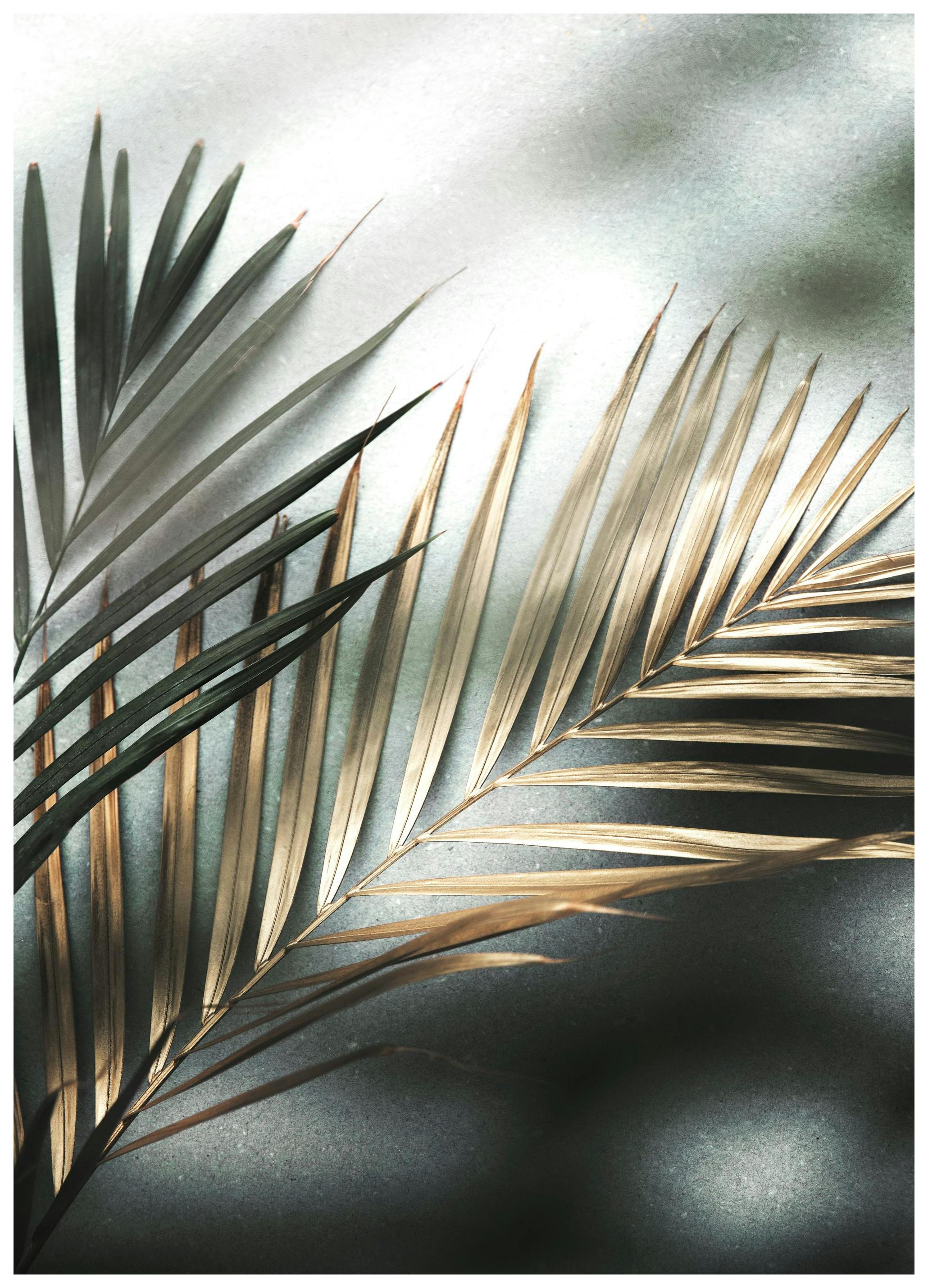 Golden Palm Poster (21x30 cm) - Groene planten