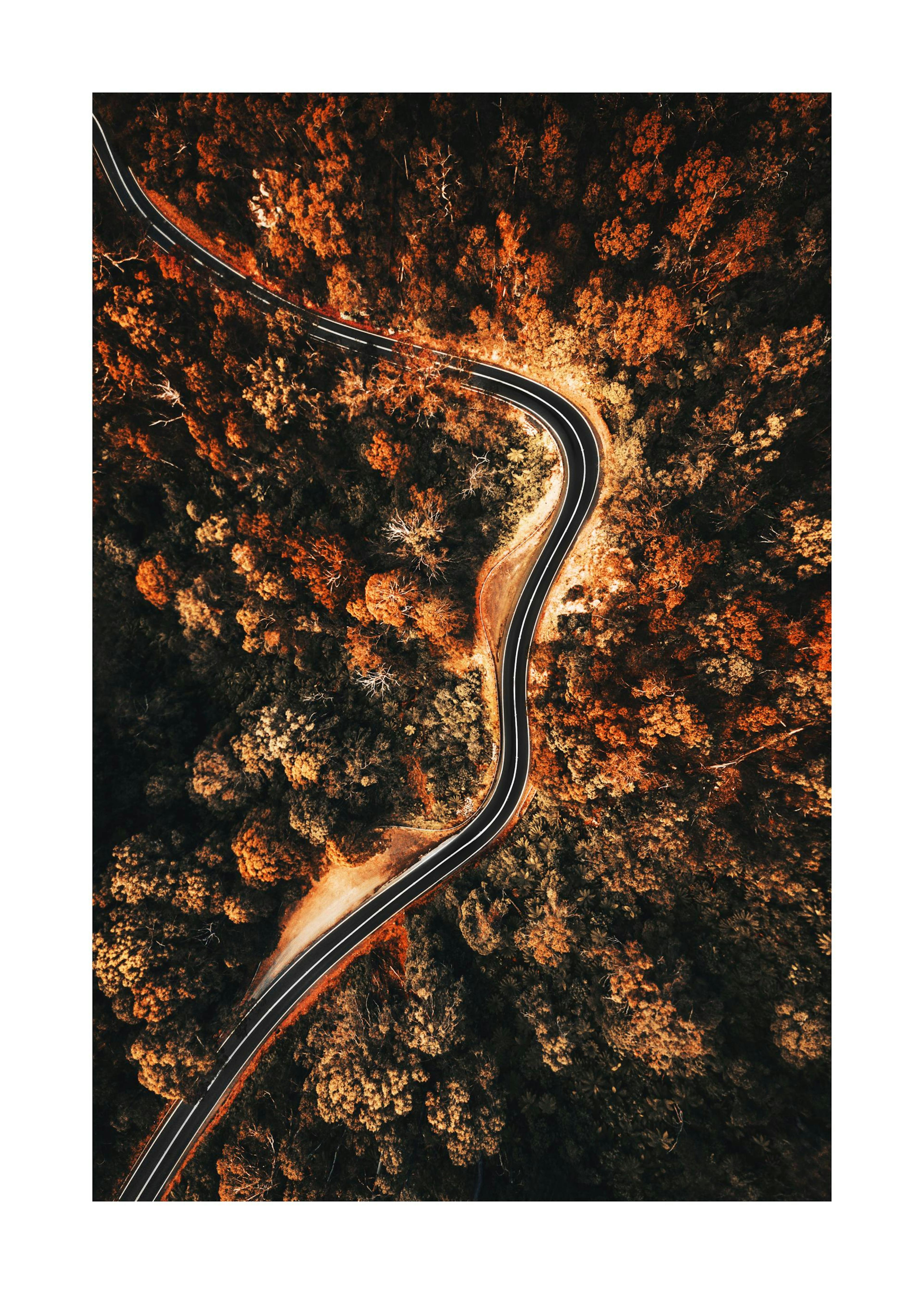 Autumn Aerial View Affiche