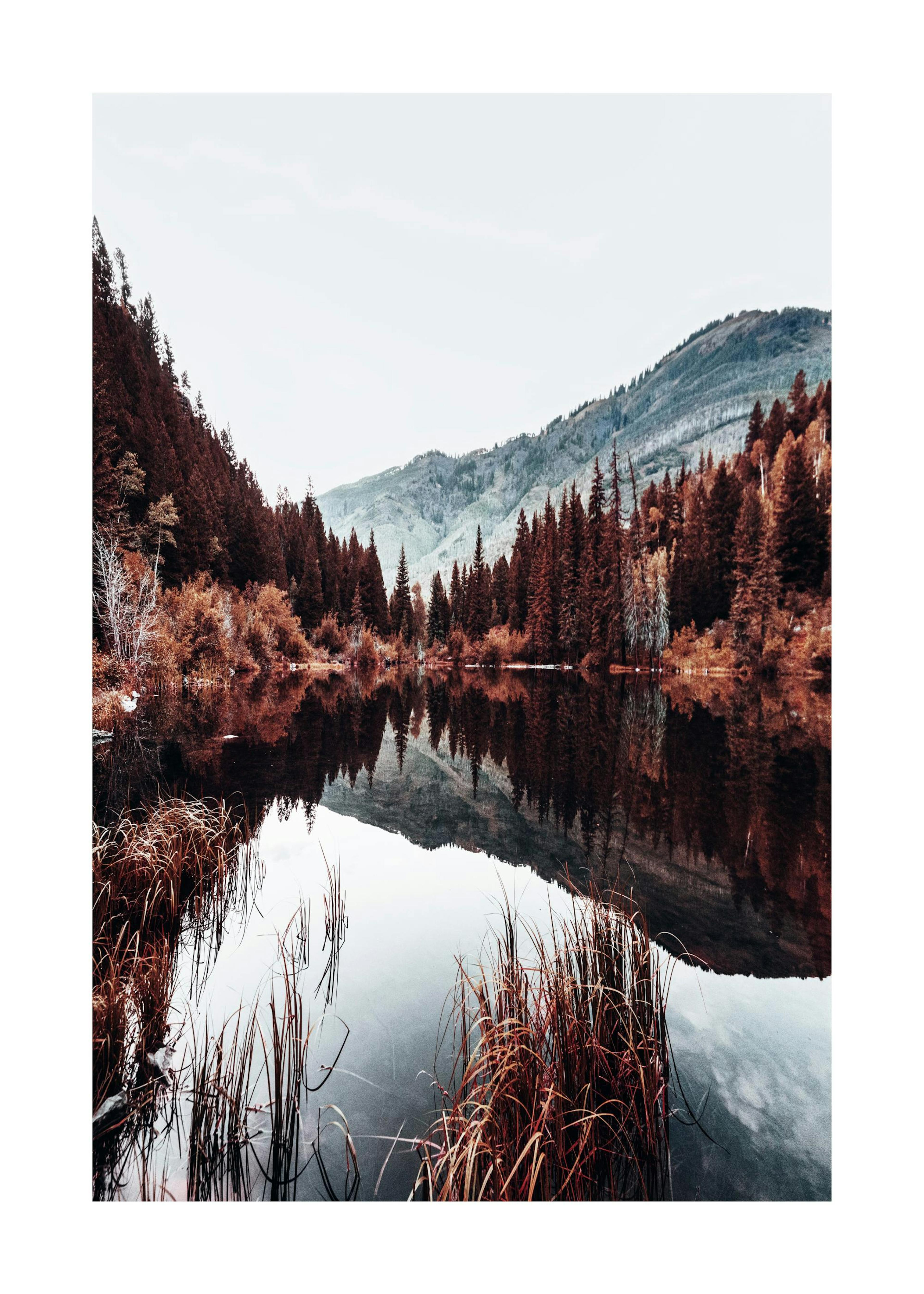Autumn Lake Print 0