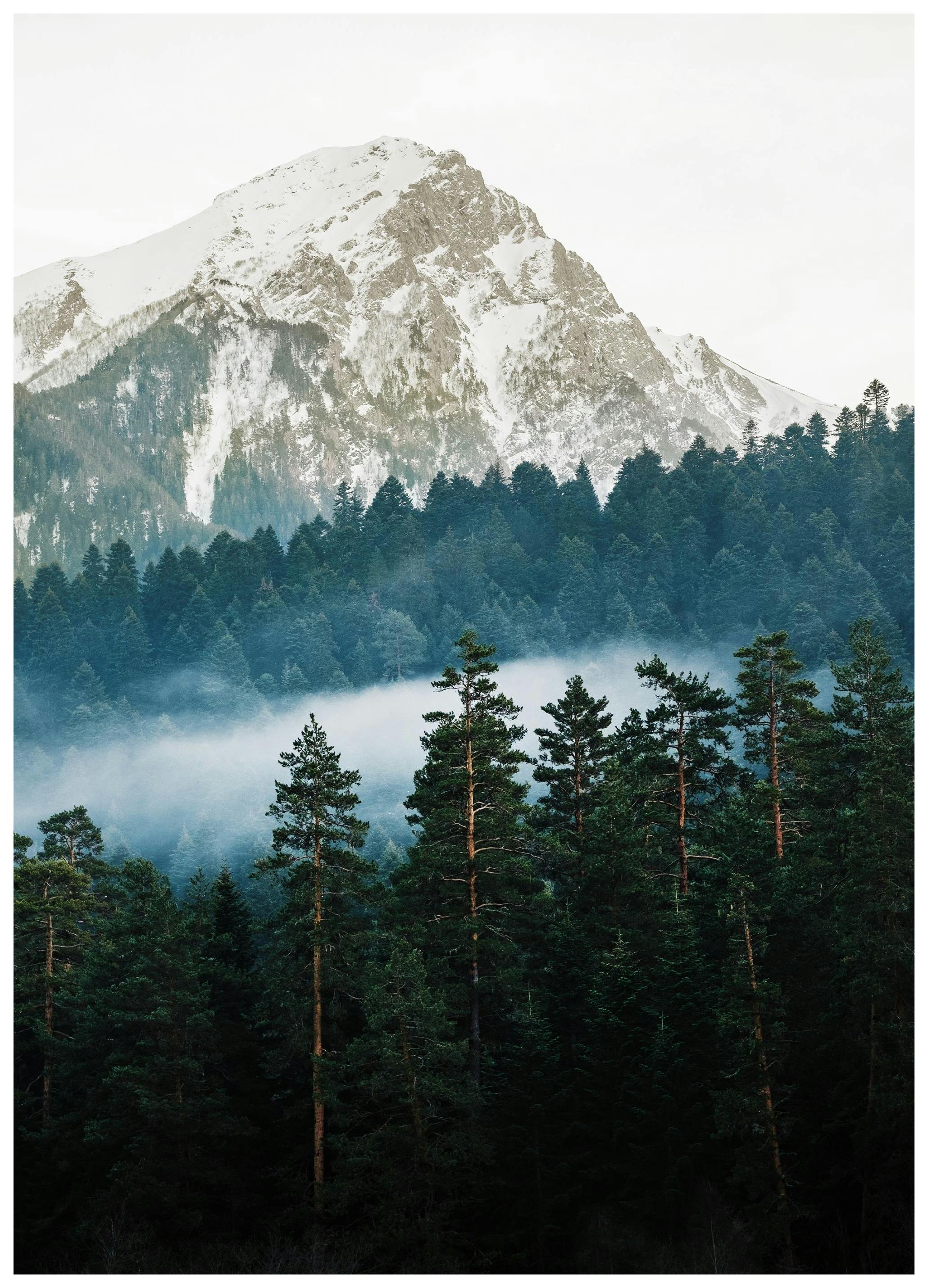 Mountain and Forest Poster (30x40 cm) -  Bilder mit Naturmotiven
