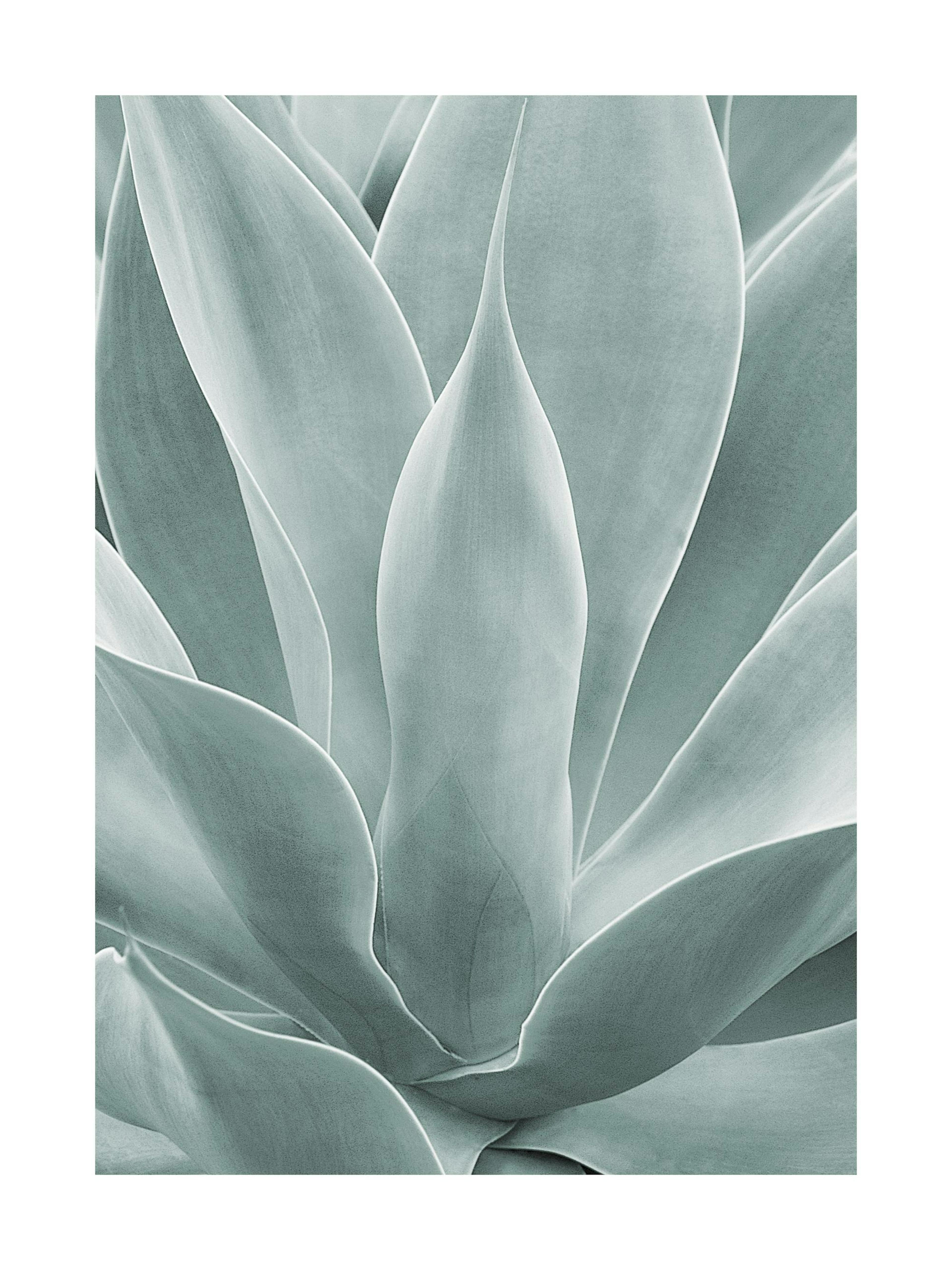Product image: 1