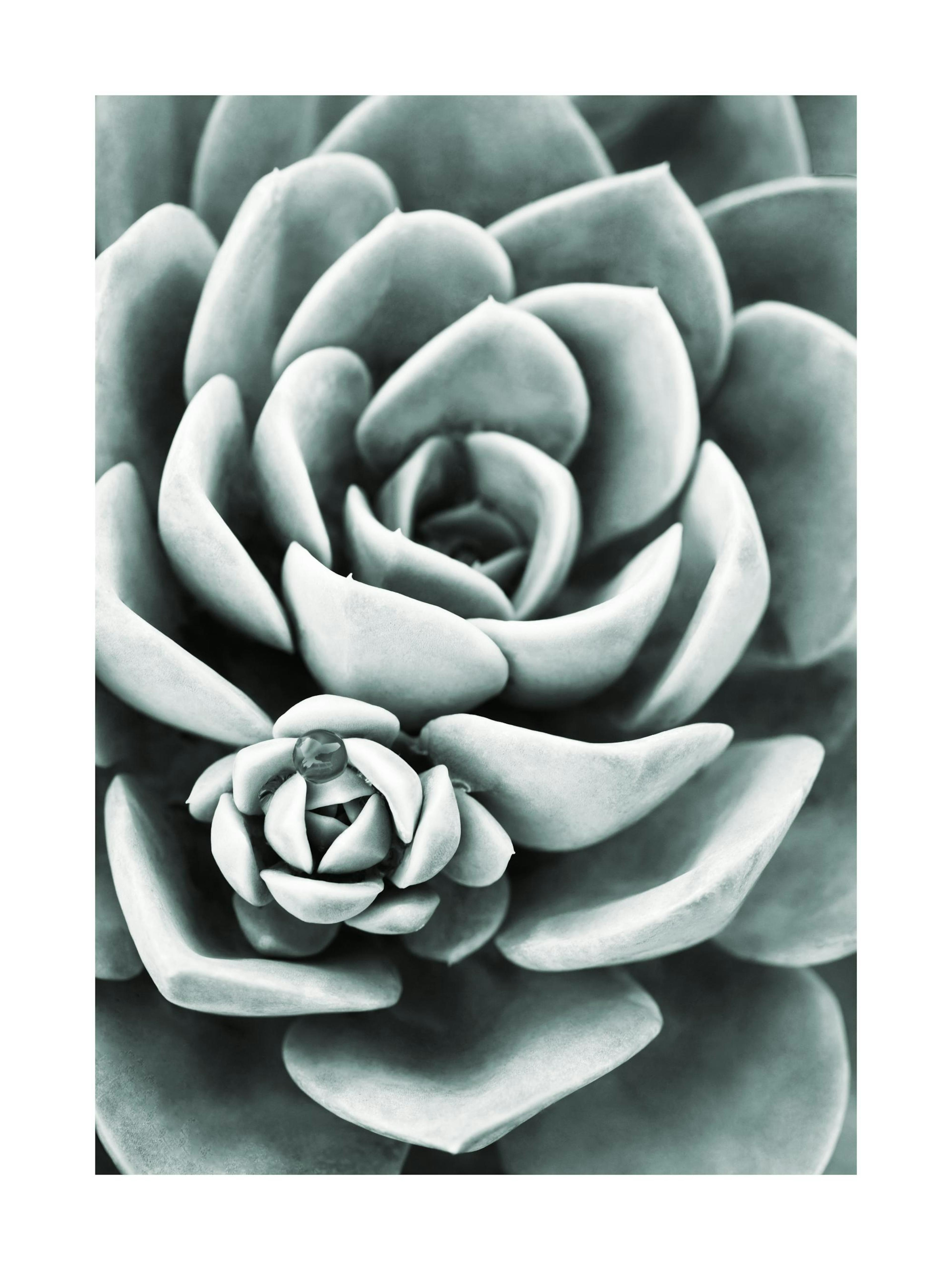Product image: 1