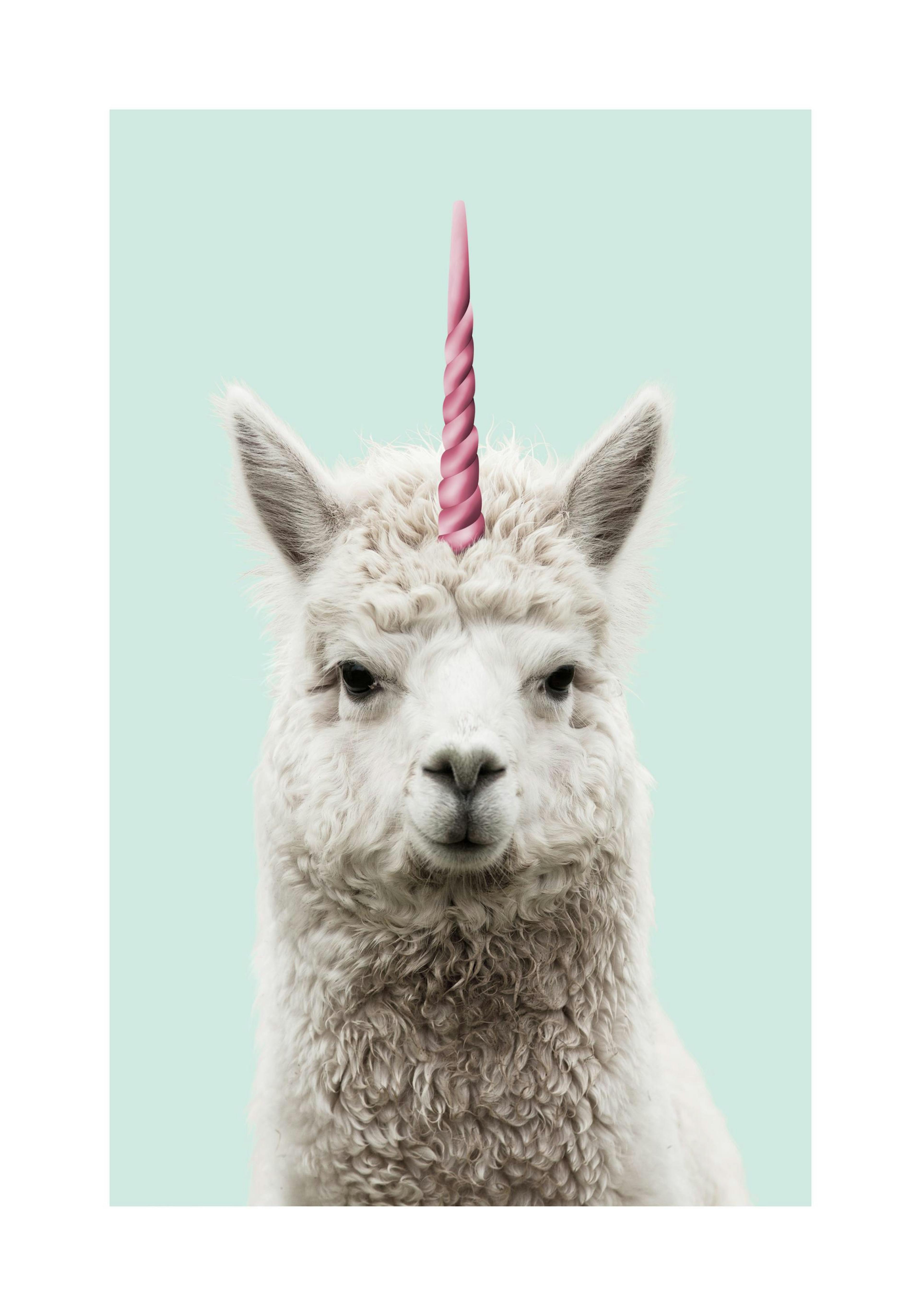 Lamacorn Print