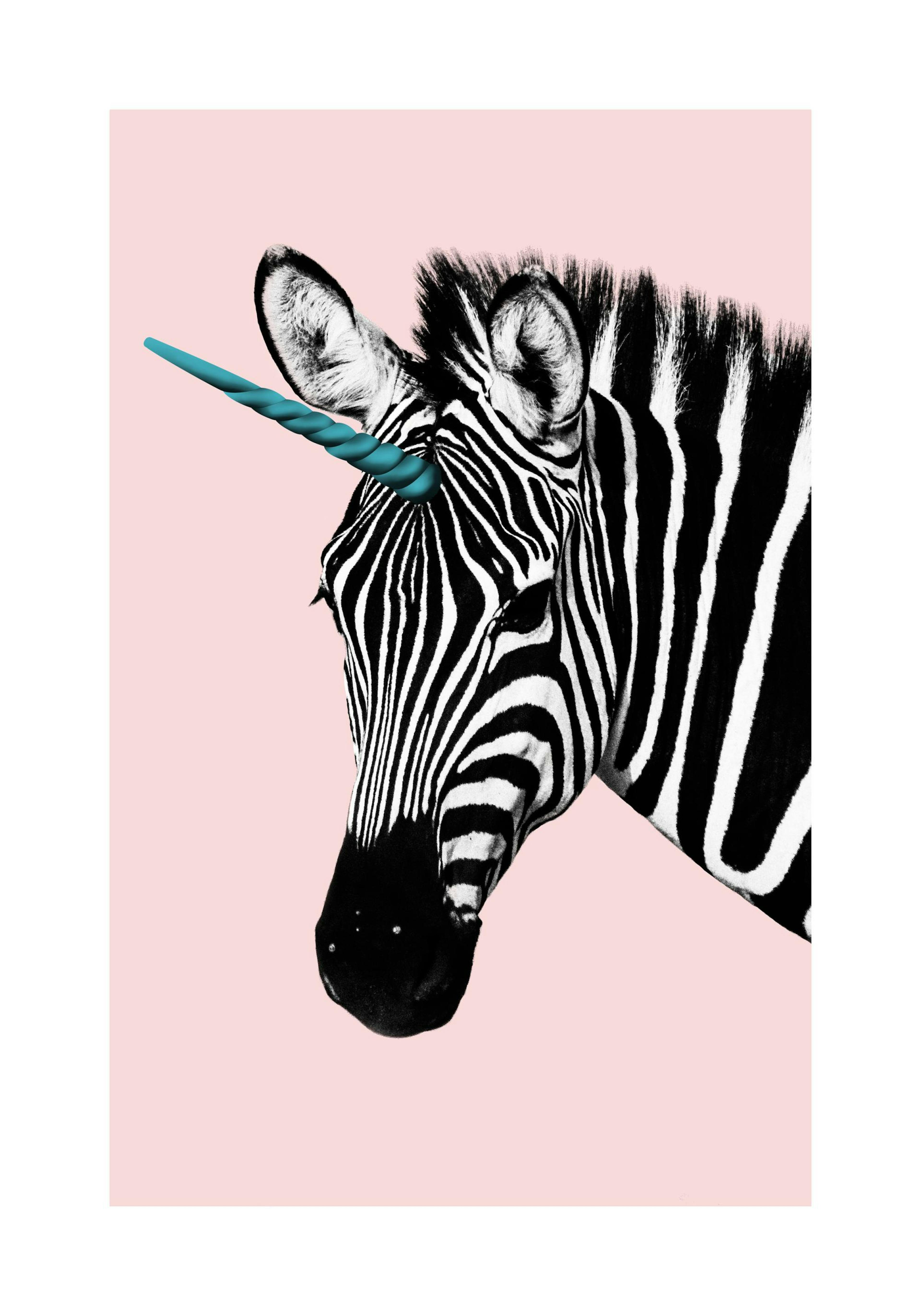 Unicorn Zebra 포스터
