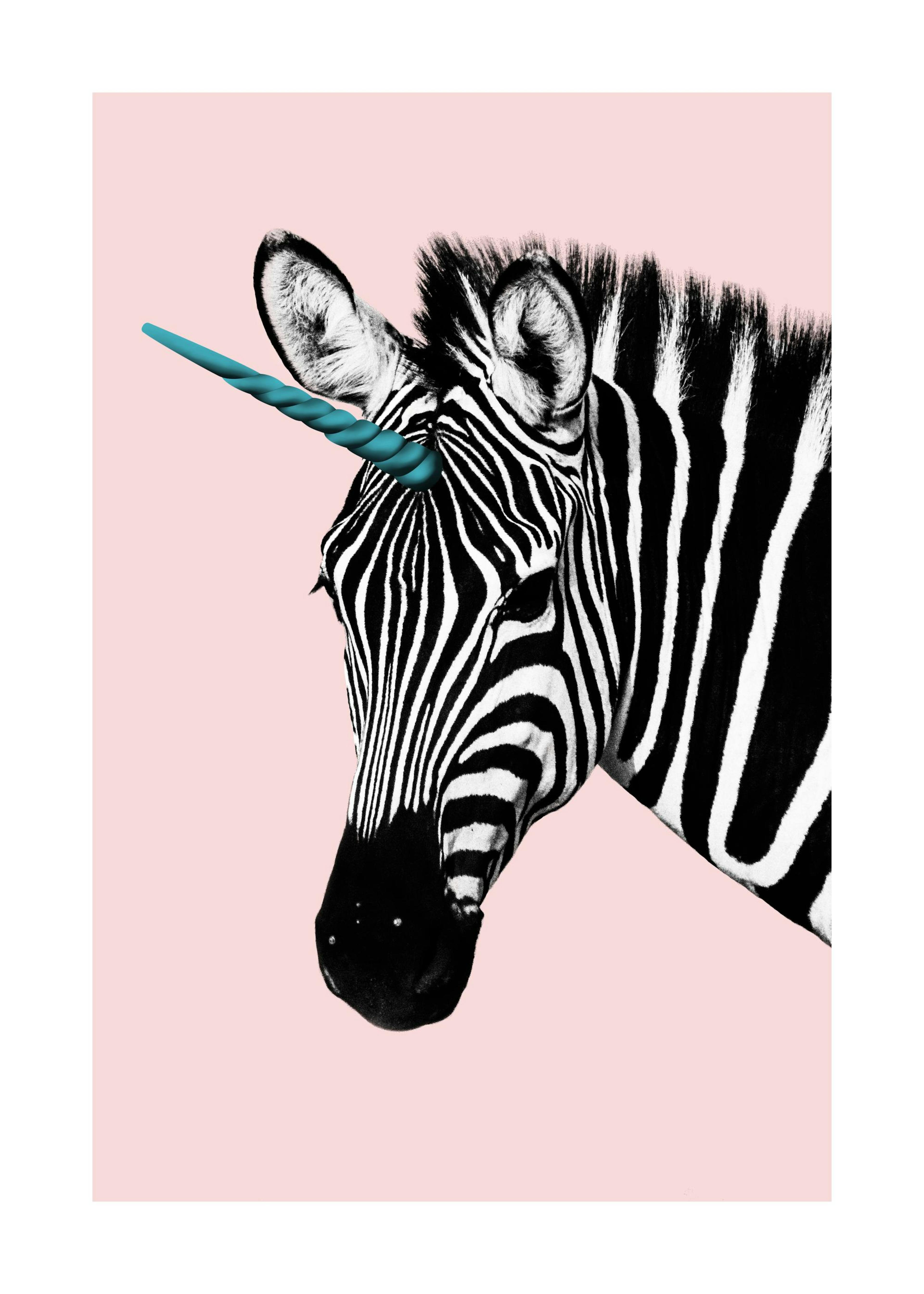 Unicorn Zebra Poster 0