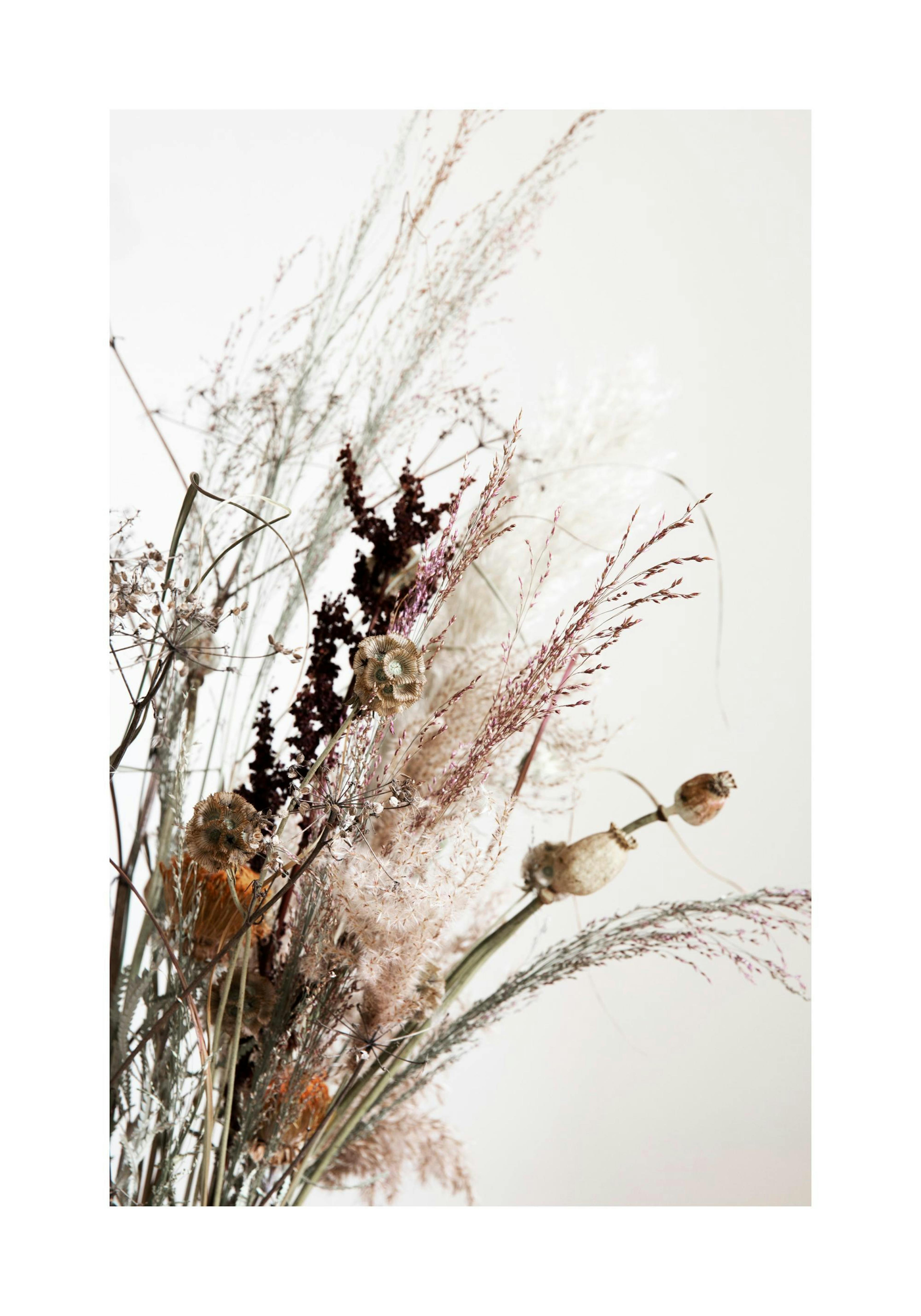Dried Bouquet No2 Print