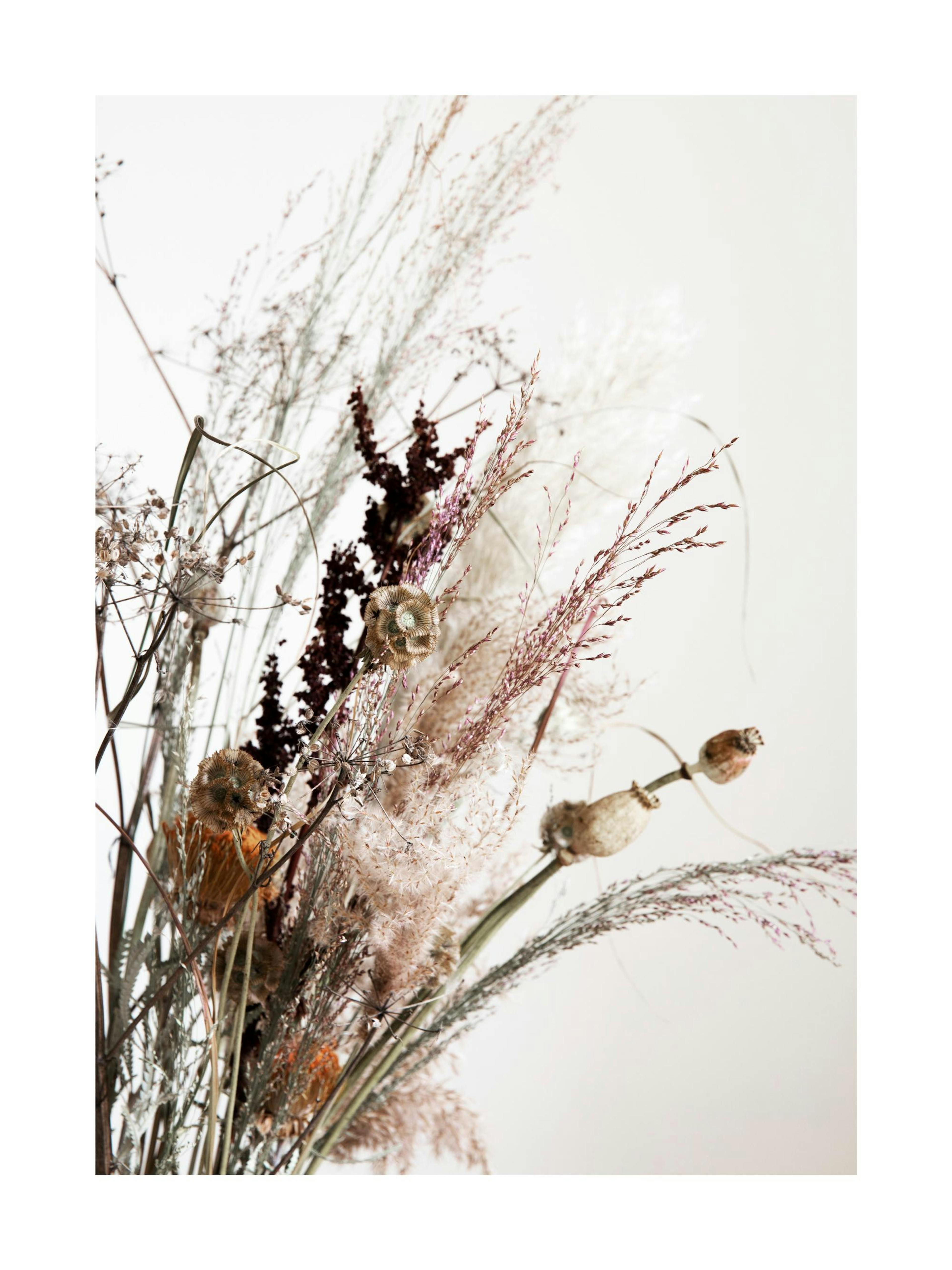 Dried Bouquet No2 Poster 0