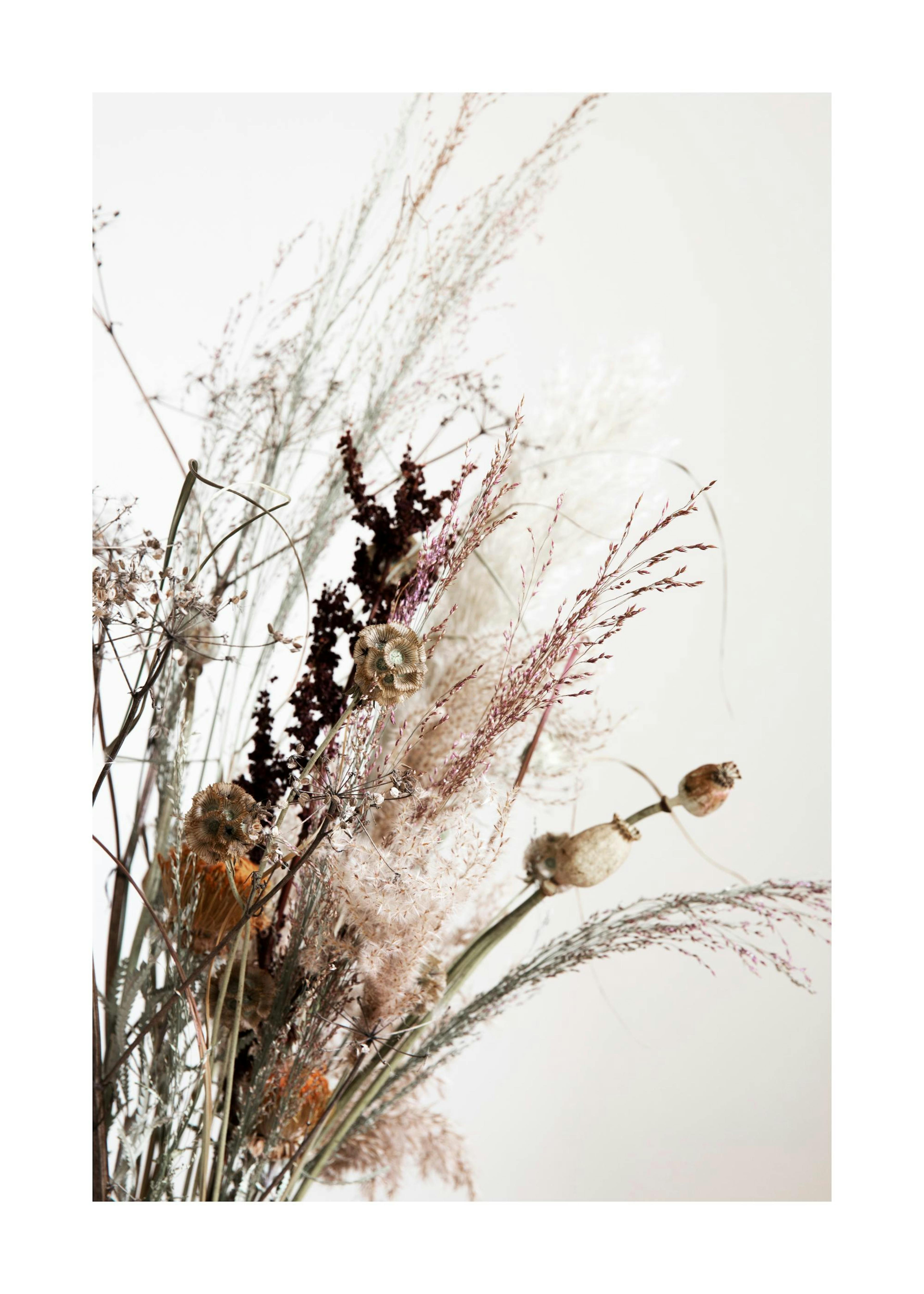 Dried Bouquet No2 Poster 0