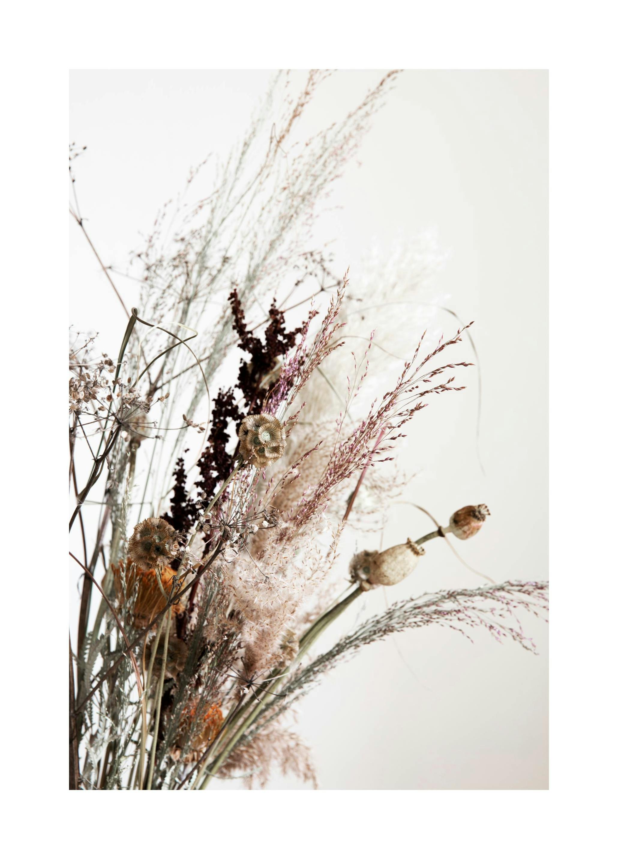 Dried Bouquet No2 Poster (30x40 cm) -  Fotografien